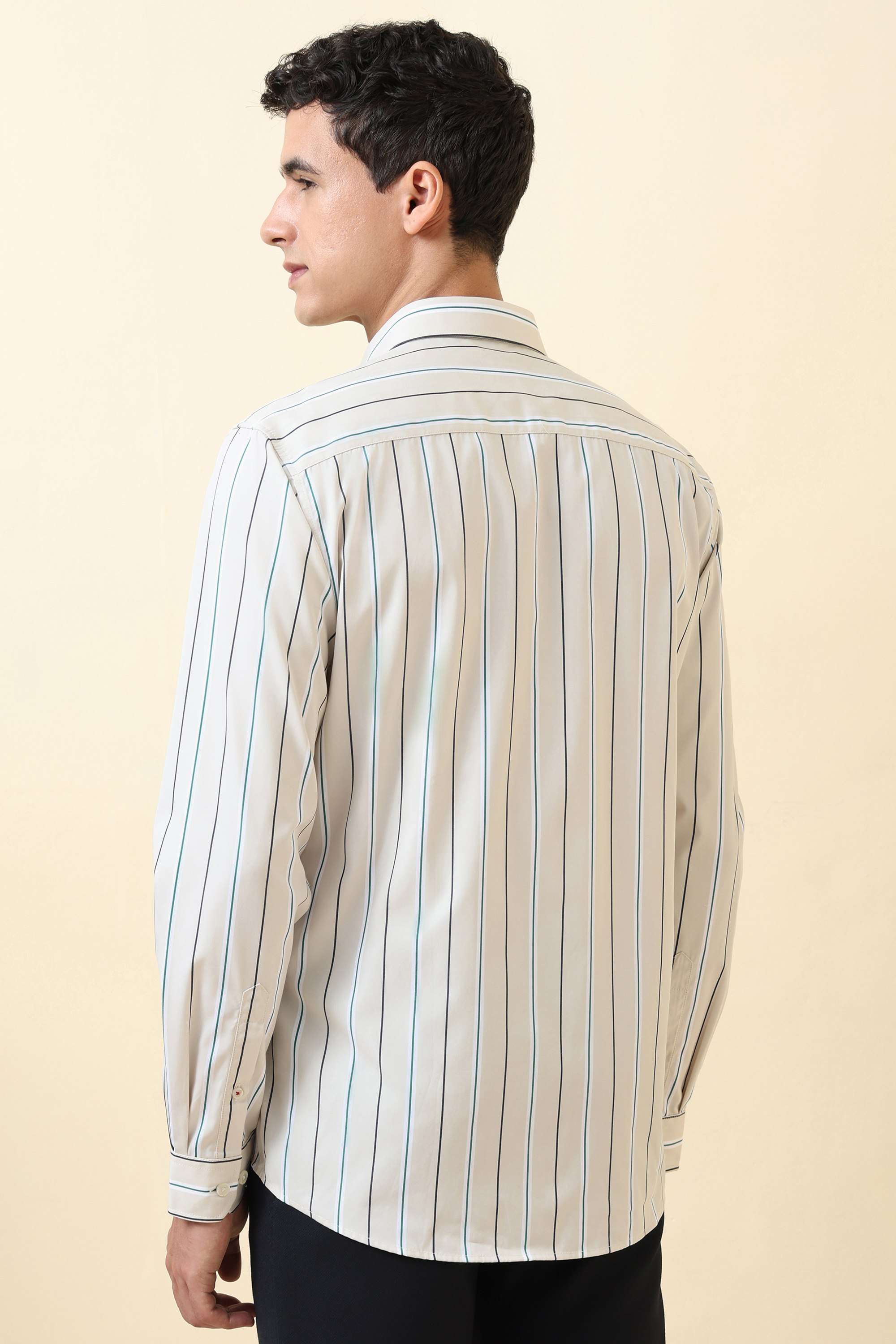 Stripes-Cotton-Regular-Fit-Men-Formal-Wear-Shirt