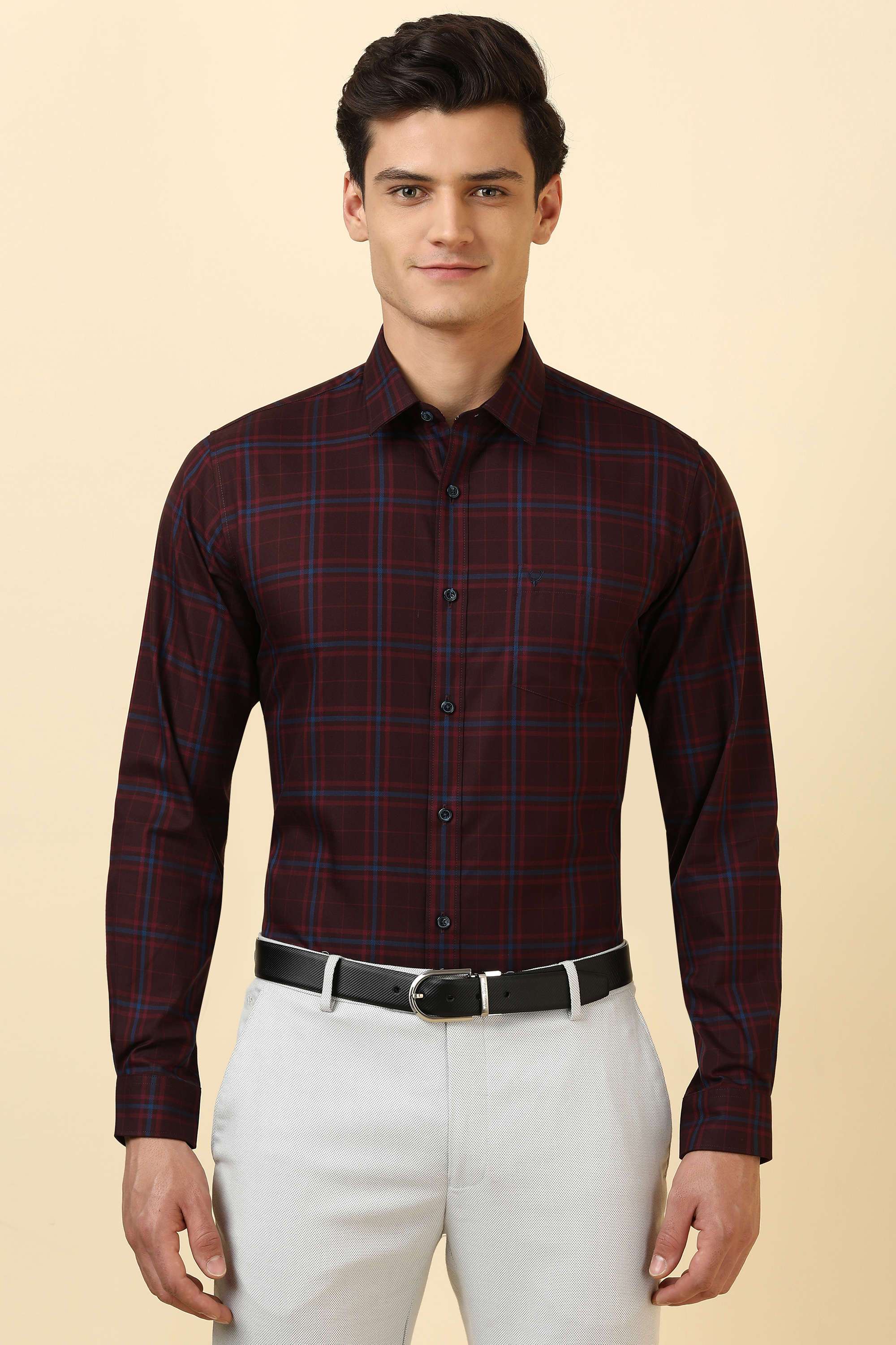Checks-Cotton-Regular-Fit-Men-Formal-Wear-Shirt