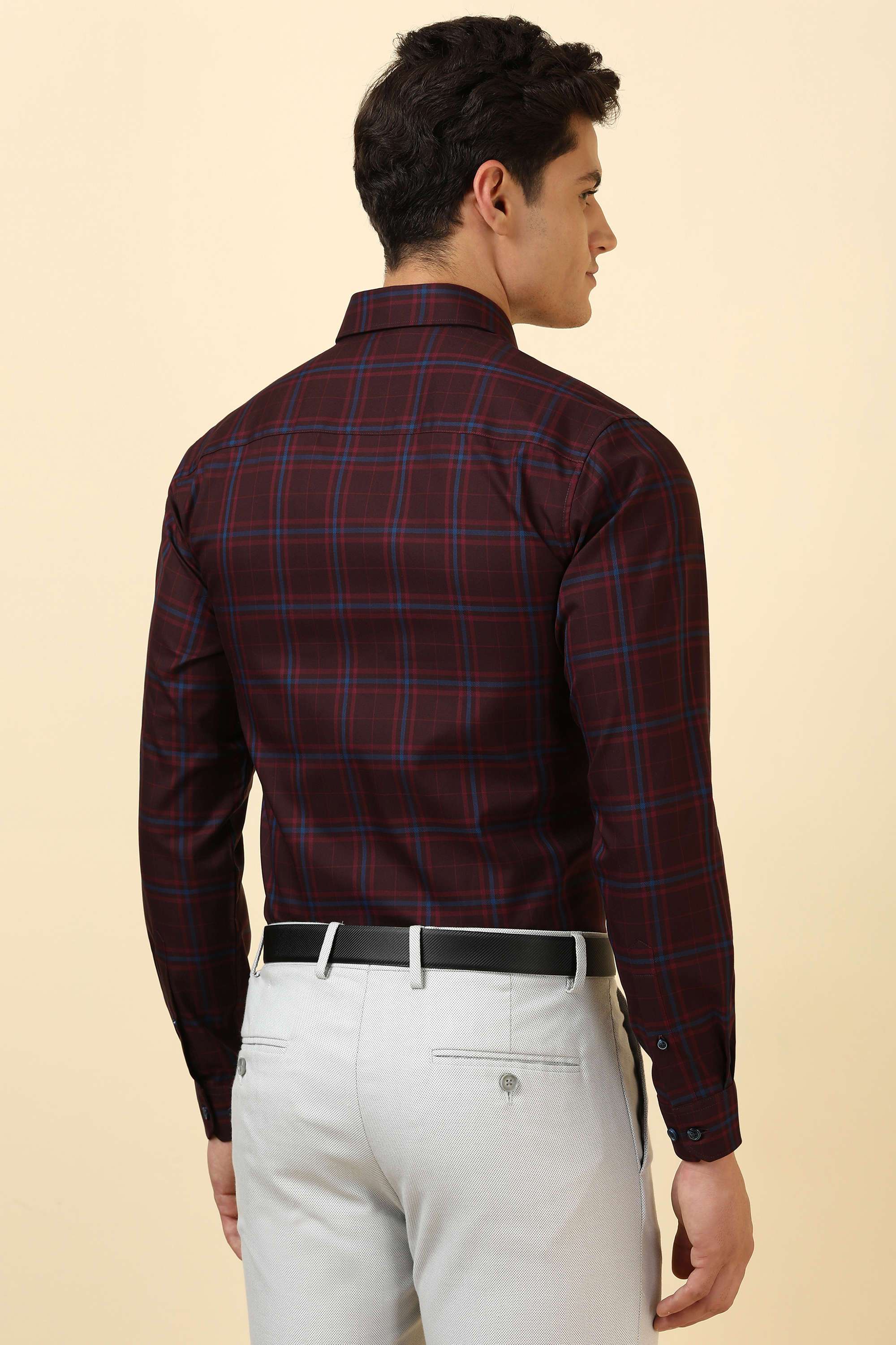 Checks-Cotton-Regular-Fit-Men-Formal-Wear-Shirt