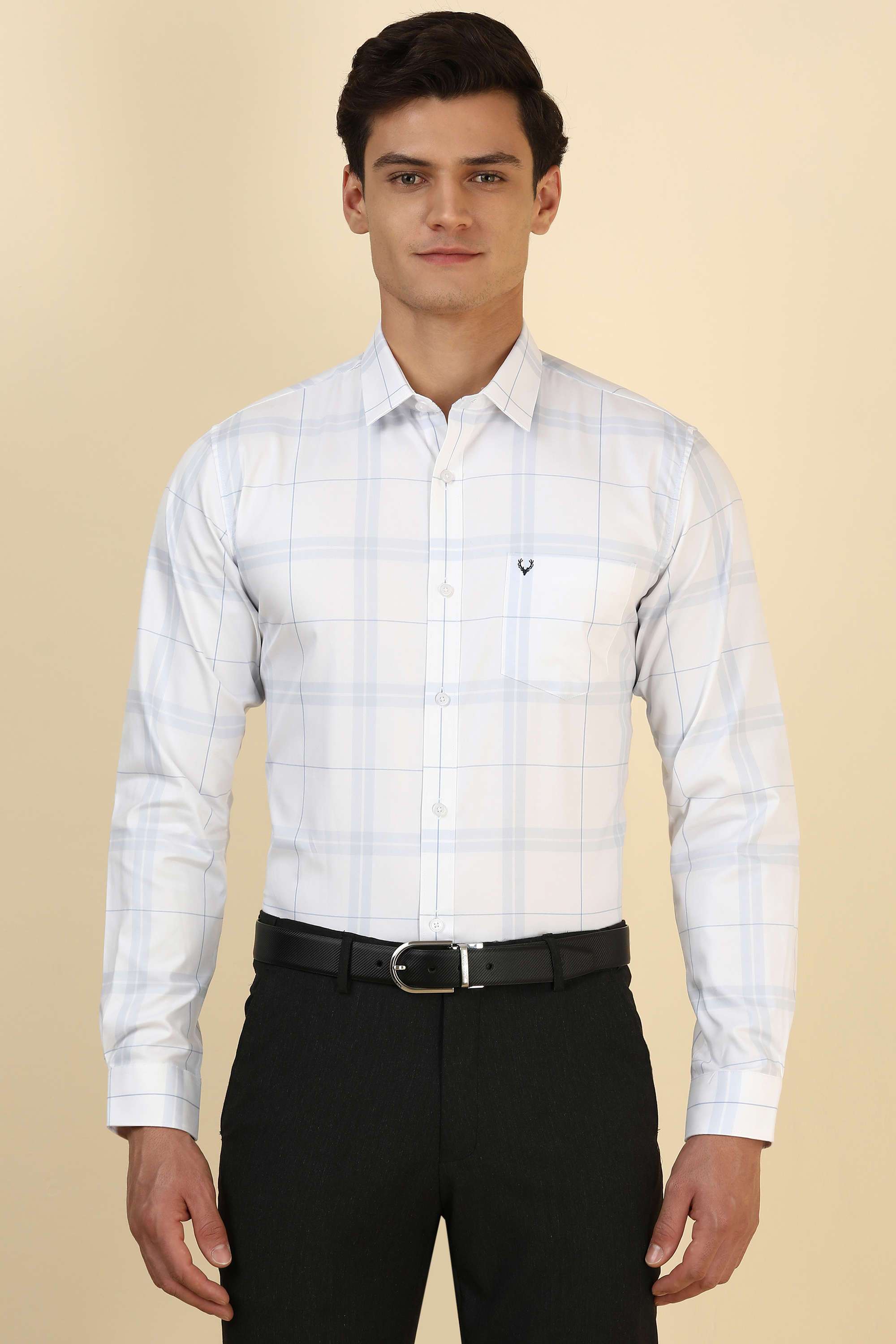 Checks-Cotton-Regular-Fit-Men-Formal-Wear-Shirt