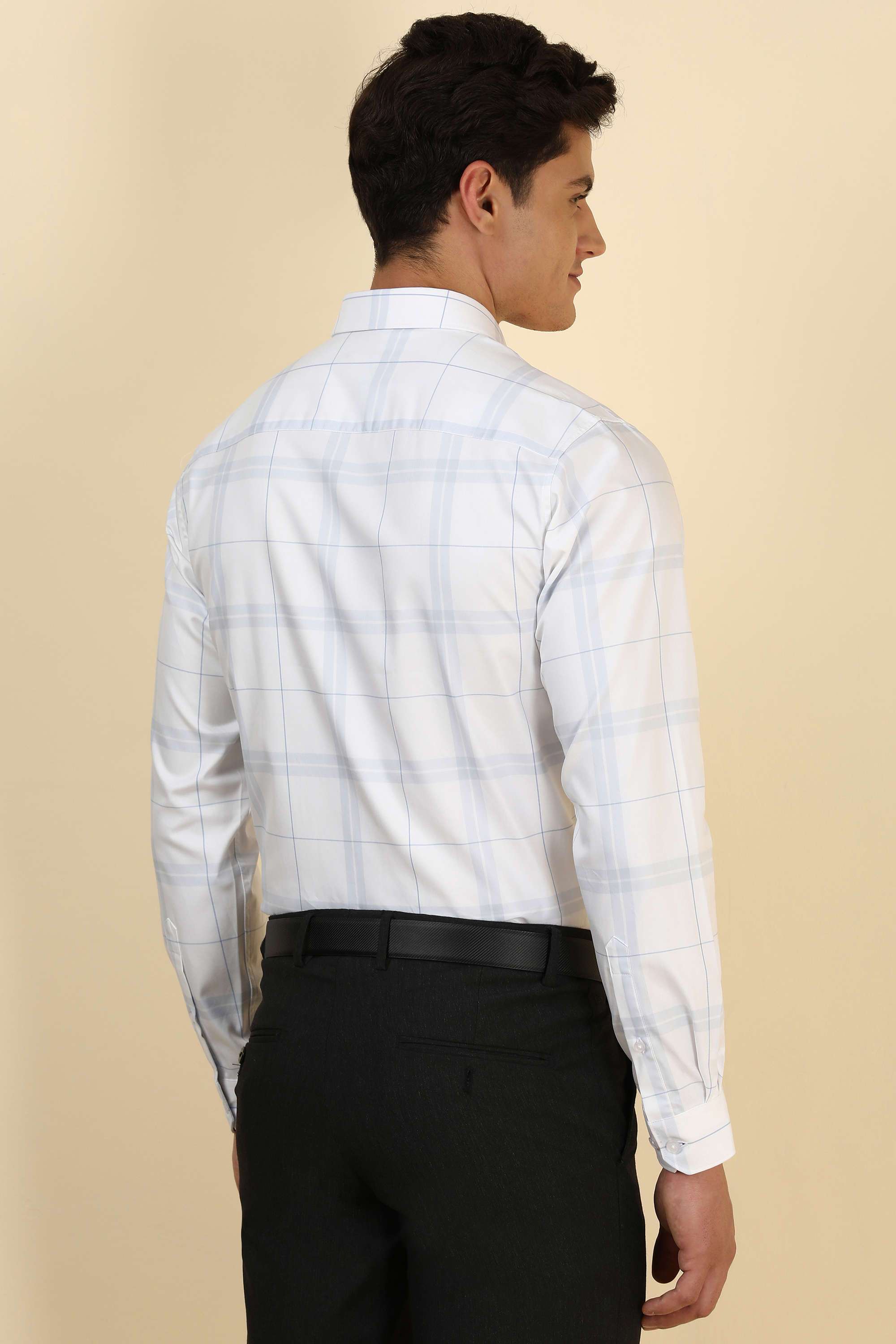 Checks-Cotton-Regular-Fit-Men-Formal-Wear-Shirt
