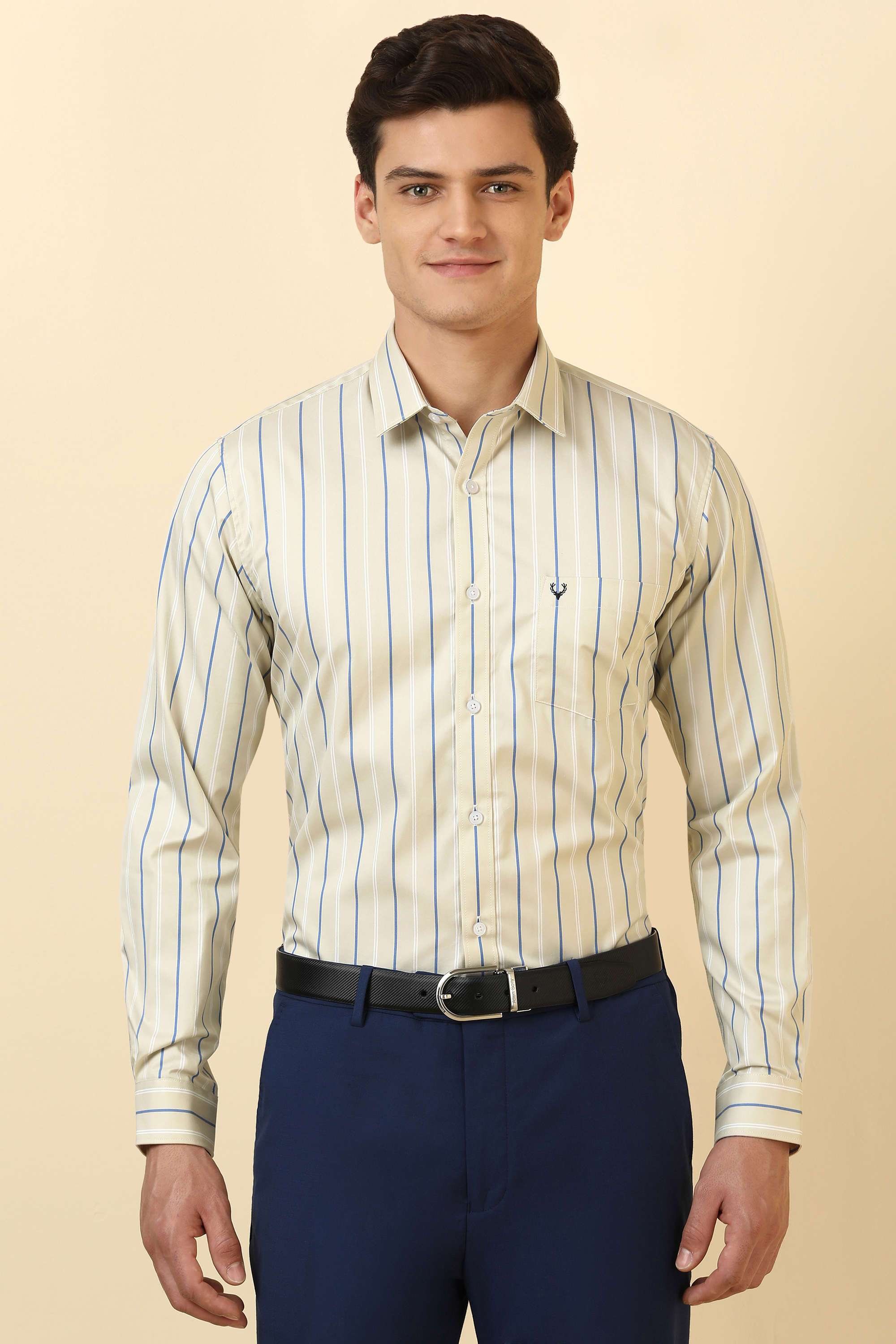 Stripes-Cotton-Regular-Fit-Men-Formal-Wear-Shirt