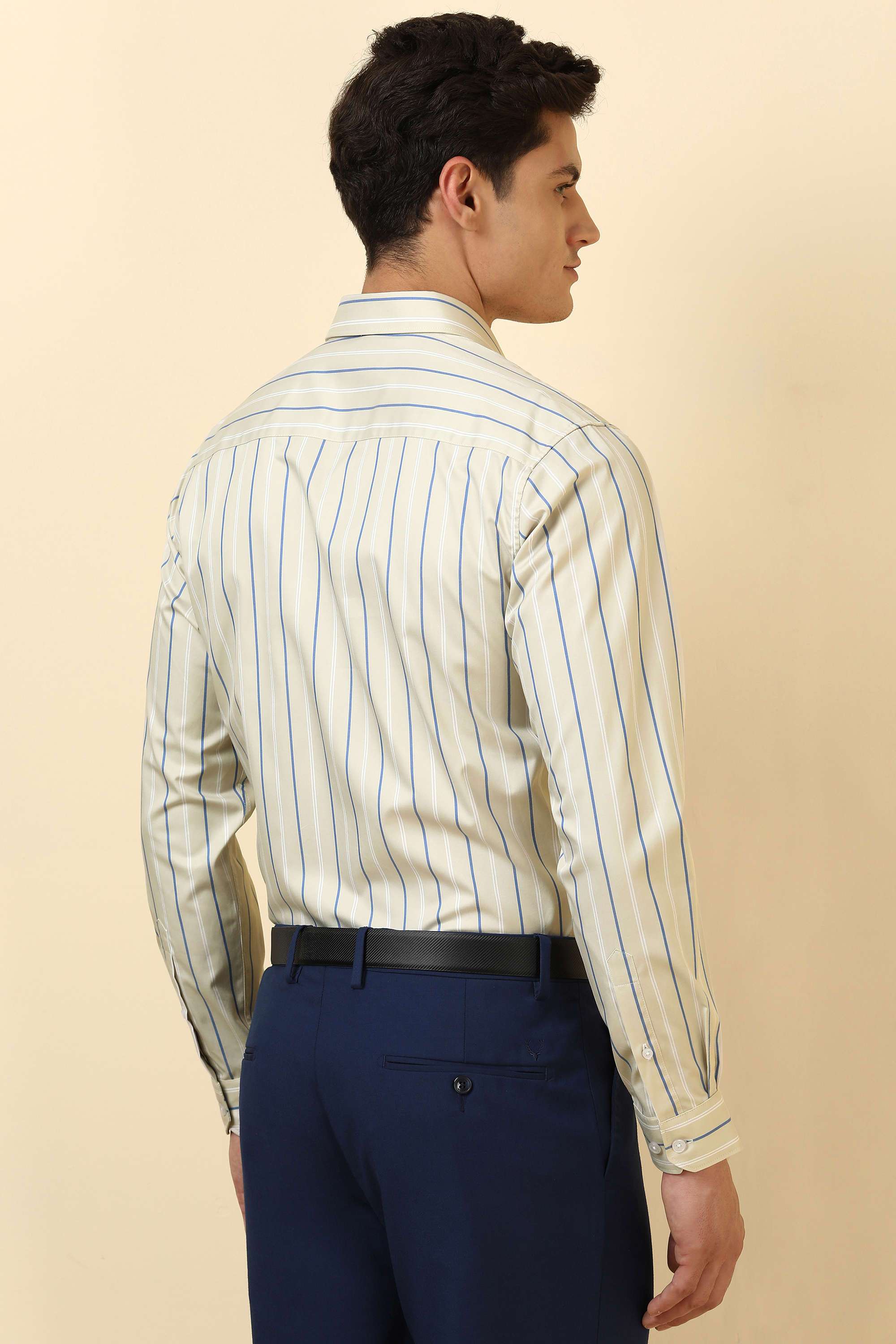 Stripes-Cotton-Regular-Fit-Men-Formal-Wear-Shirt