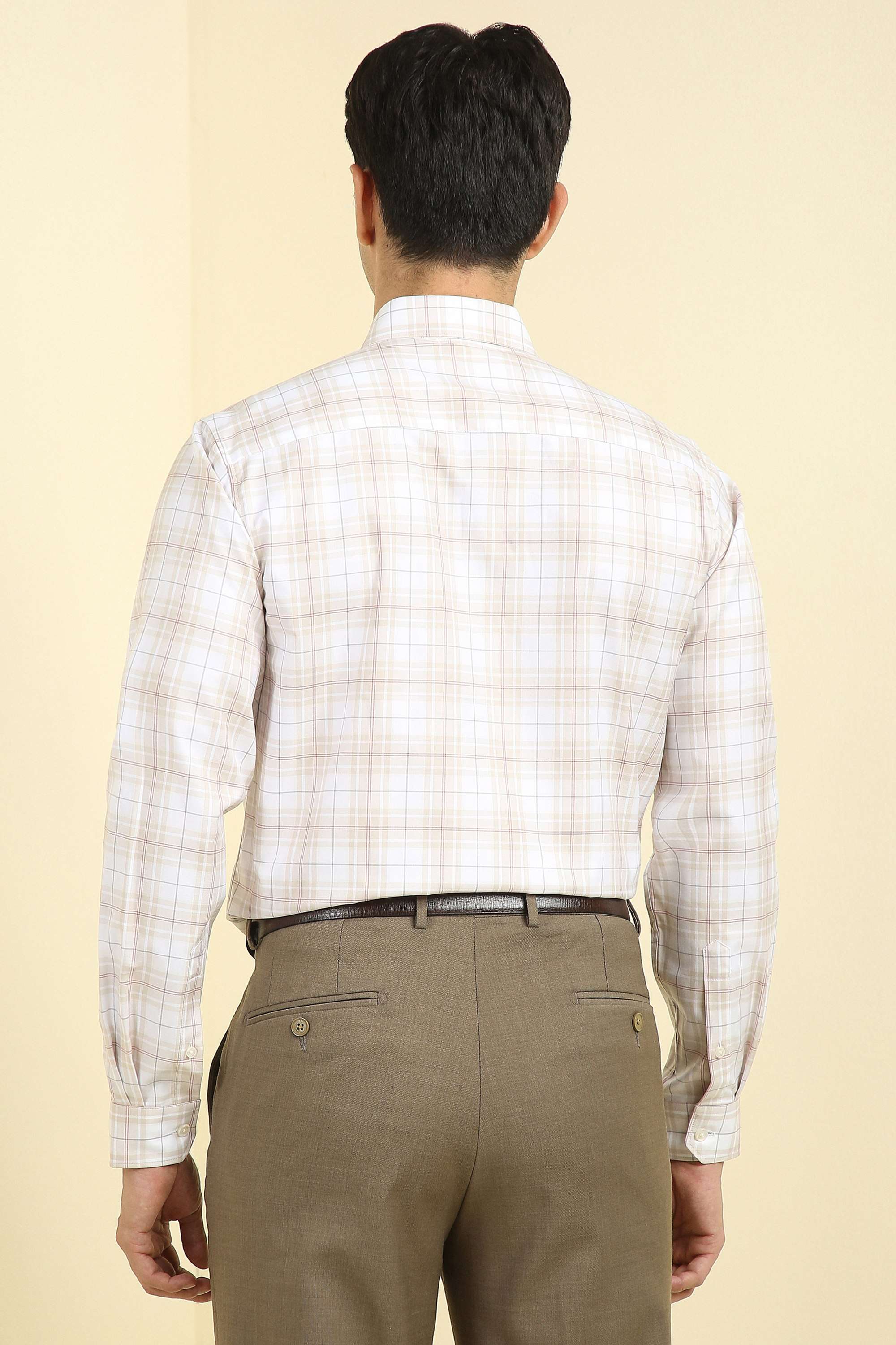 Checks-Cotton-Regular-Fit-Men-s-Formal-Shirt
