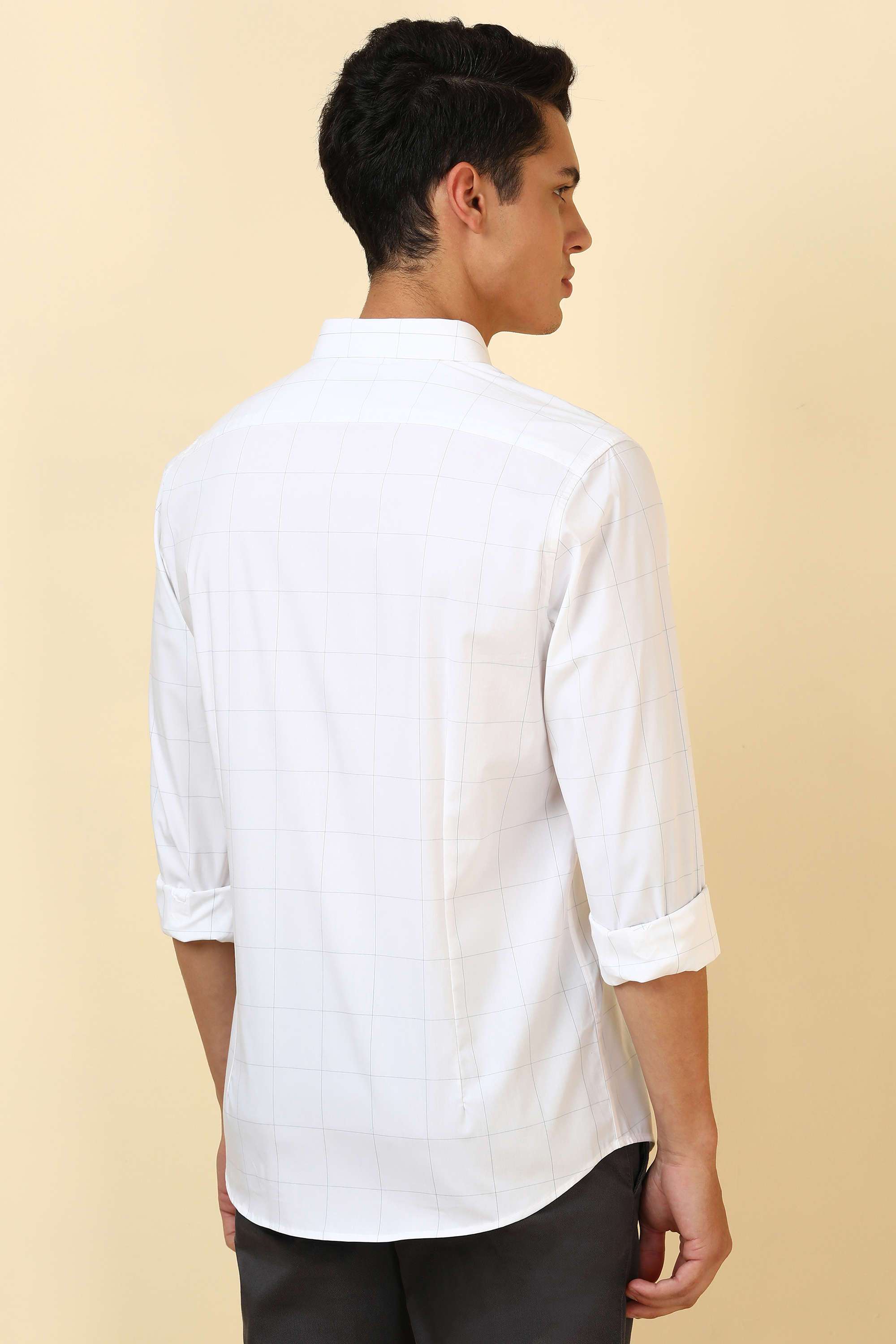 Checks-Cotton-Blend-Regular-Fit-Men-Formal-Wear-Shirt
