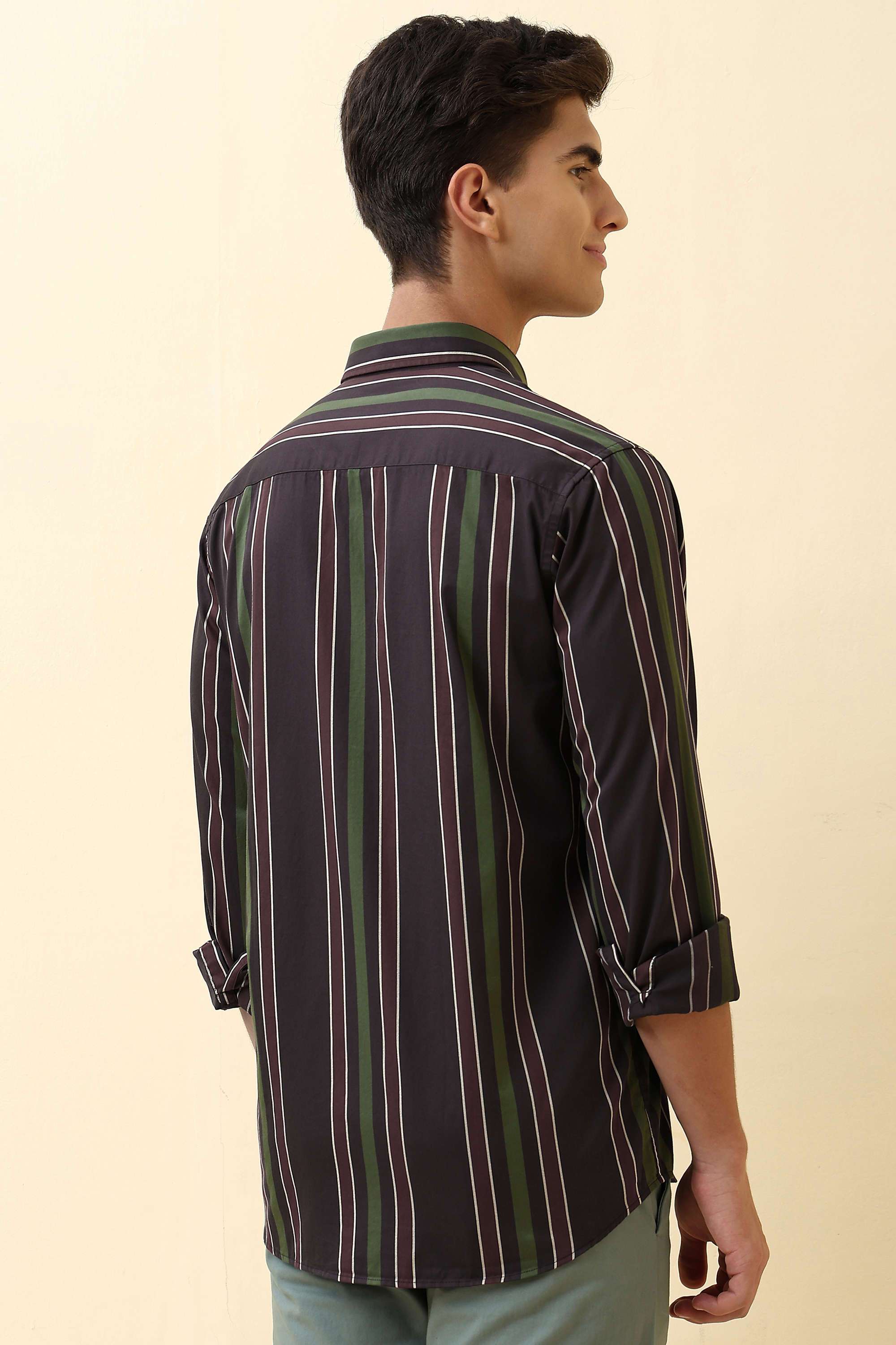 Stripes-Cotton-Regular-Fit-Men-Formal-Wear-Shirt