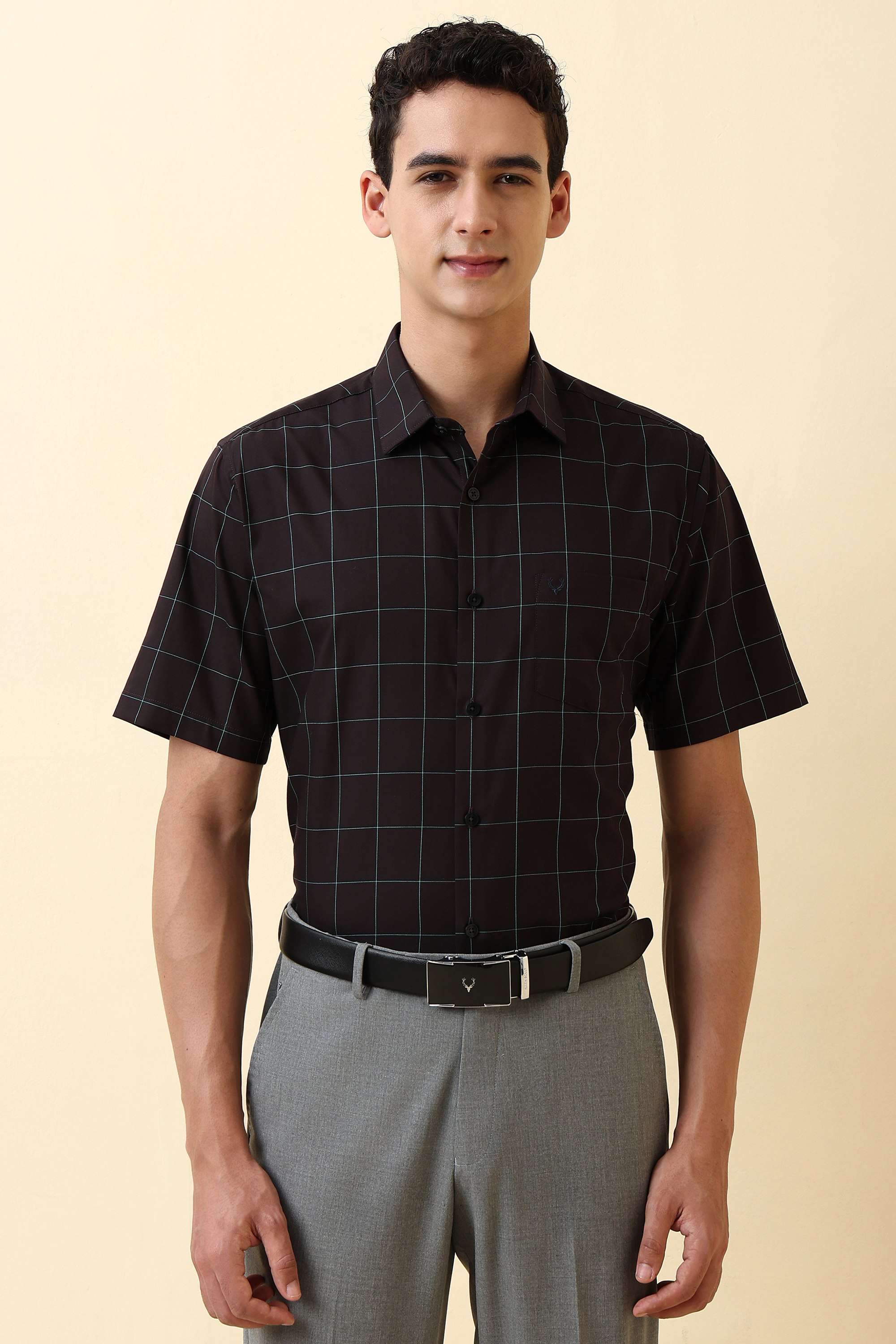 Checks-Cotton-Regular-Fit-Men-s-Formal-Shirt