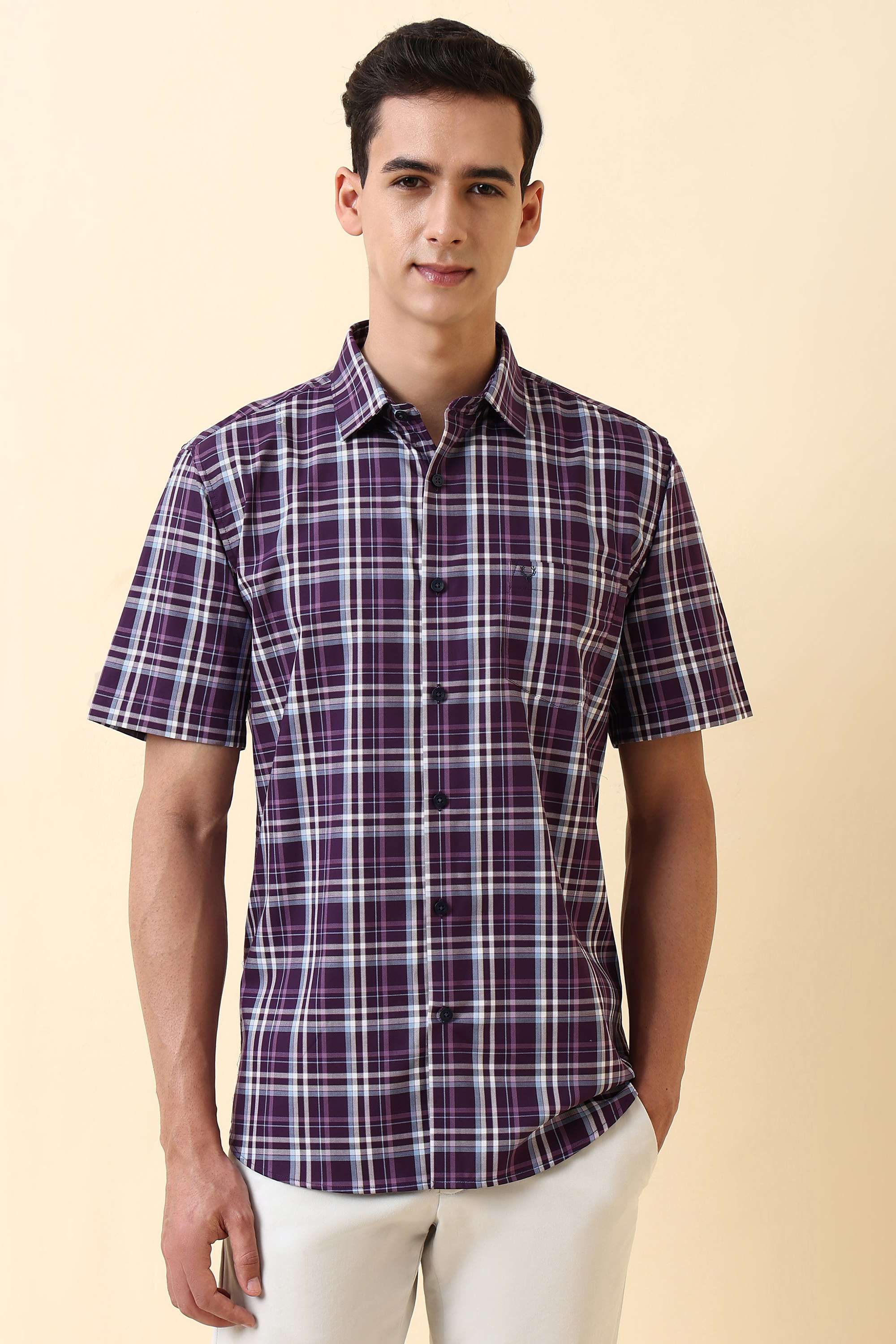 Checks-Cotton-Regular-Fit-Men-s-Formal-Shirt