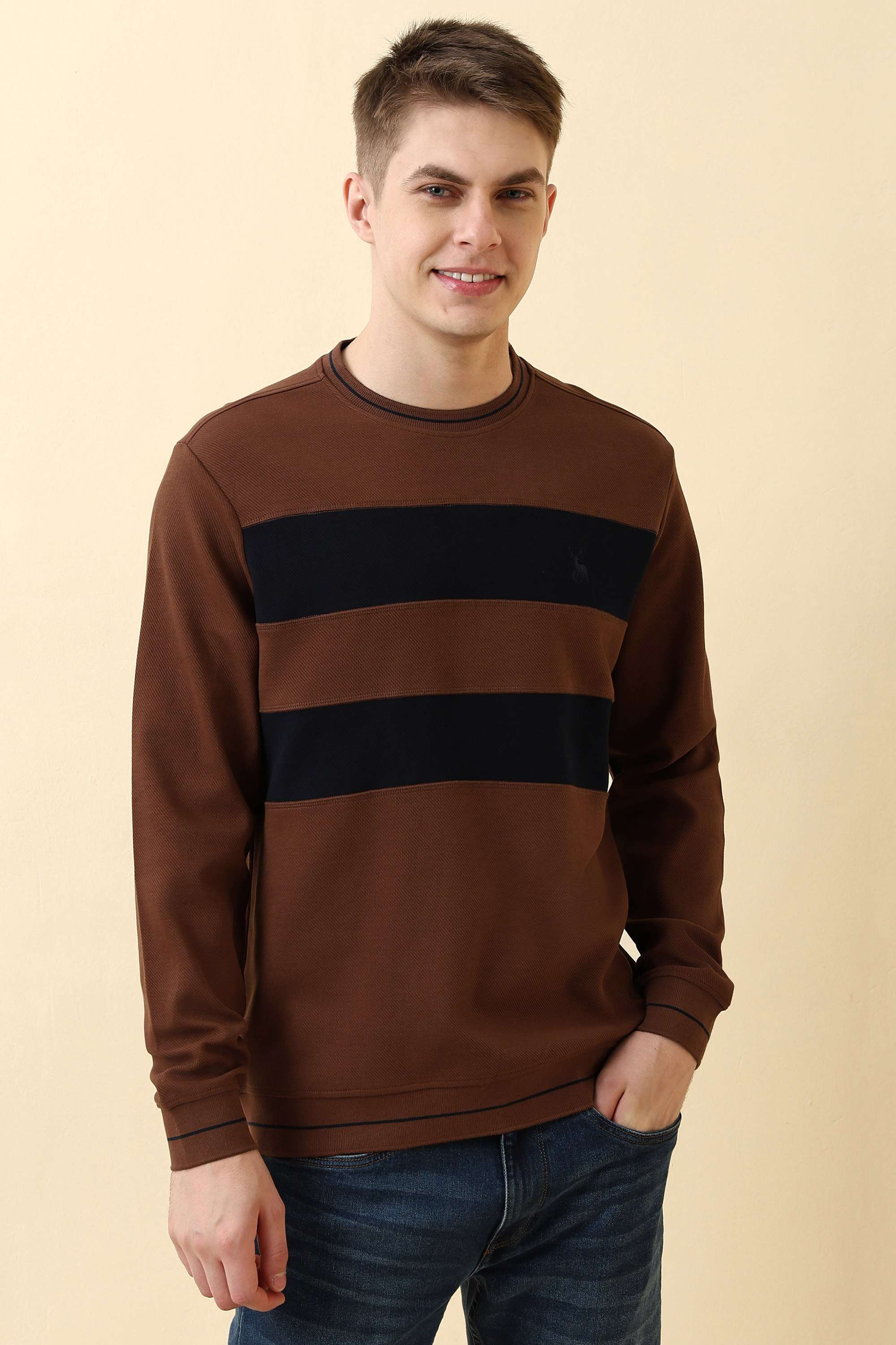Stripes-Cotton-Round-Neck-Men-s-Sweatshirt