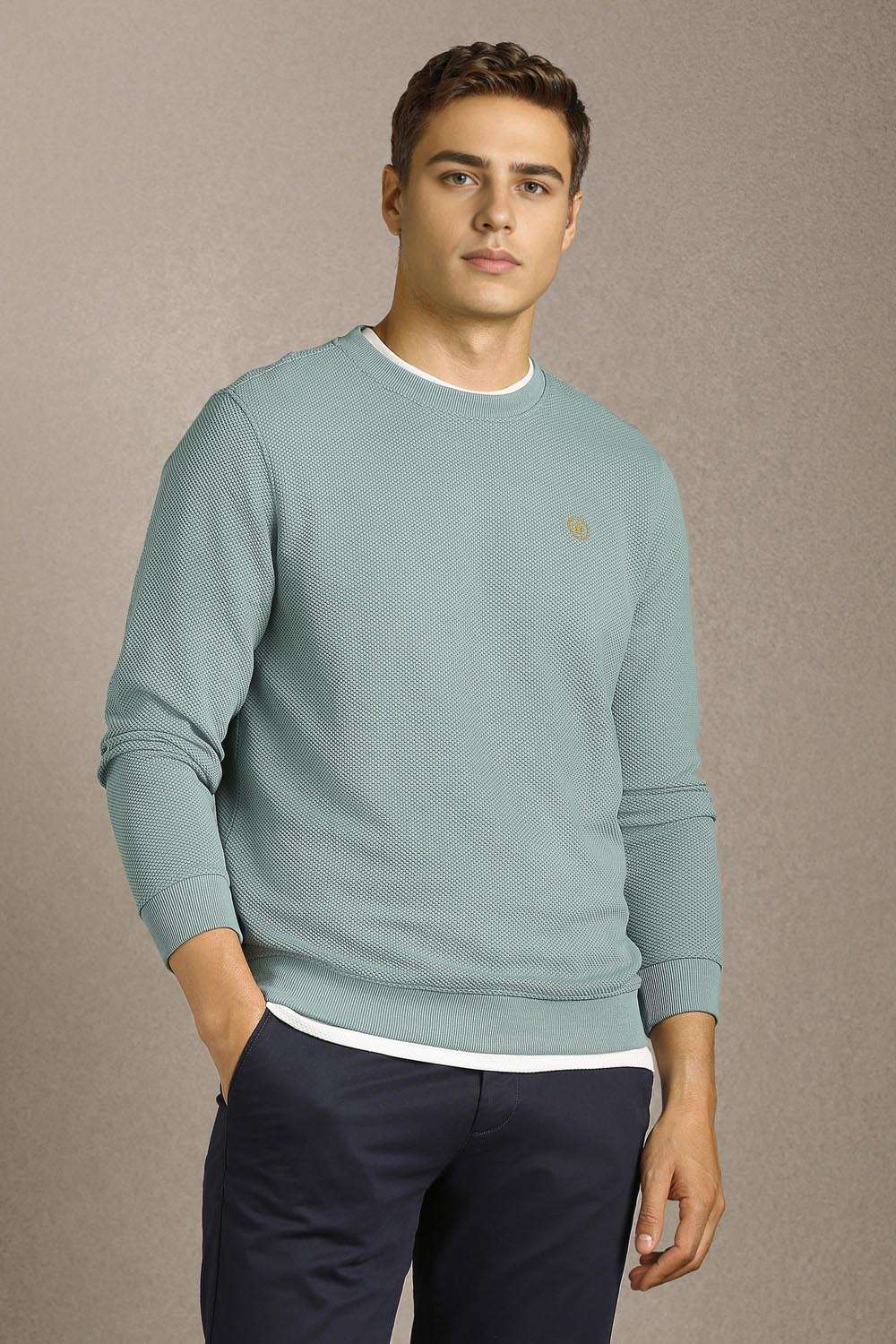 Textured-Poly-Cotton-Regular-Fit-Men-Sweatshirt