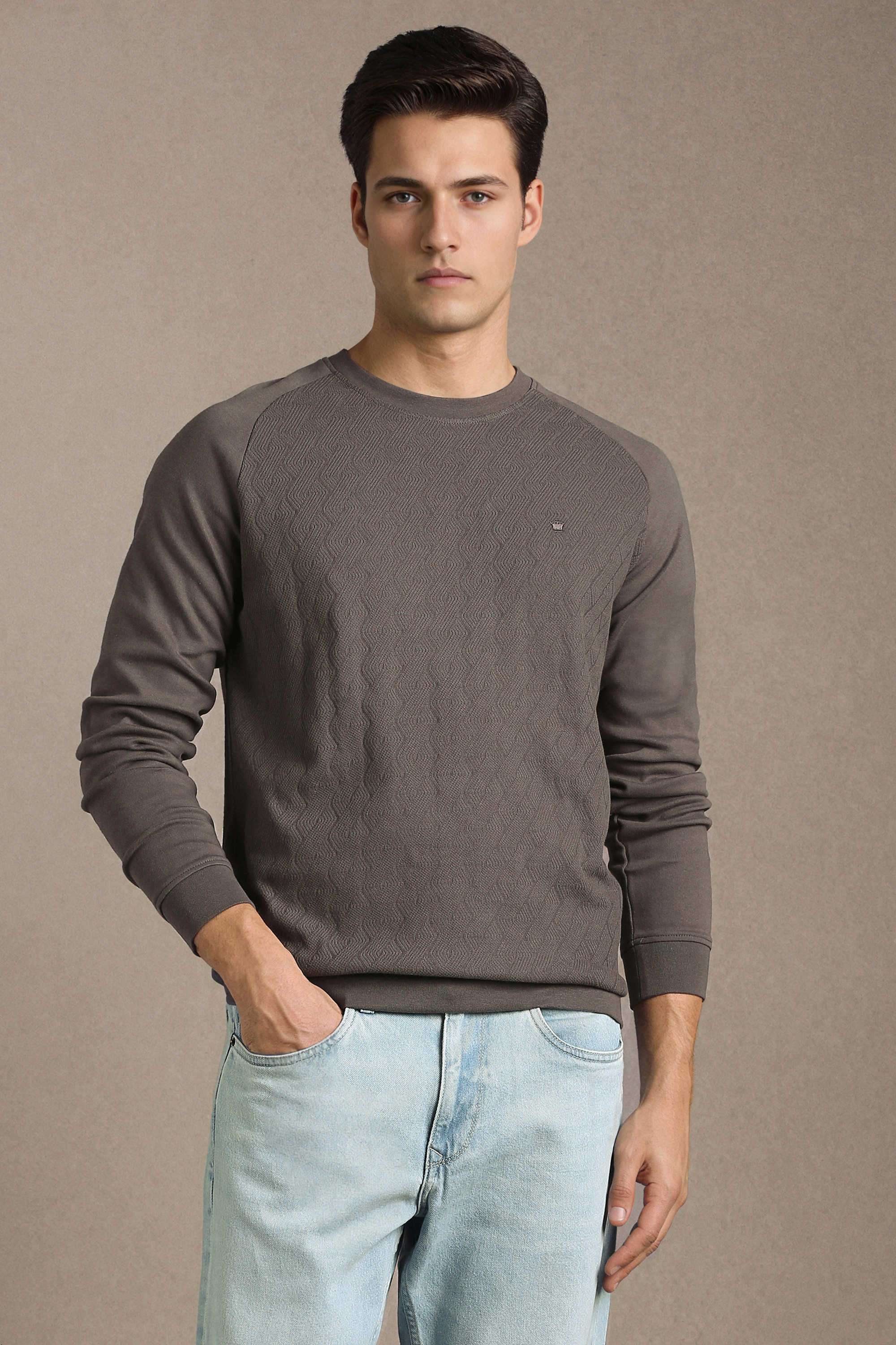 Textured-Blended-Fabric-Regular-Fit-Men-Sweatshirt