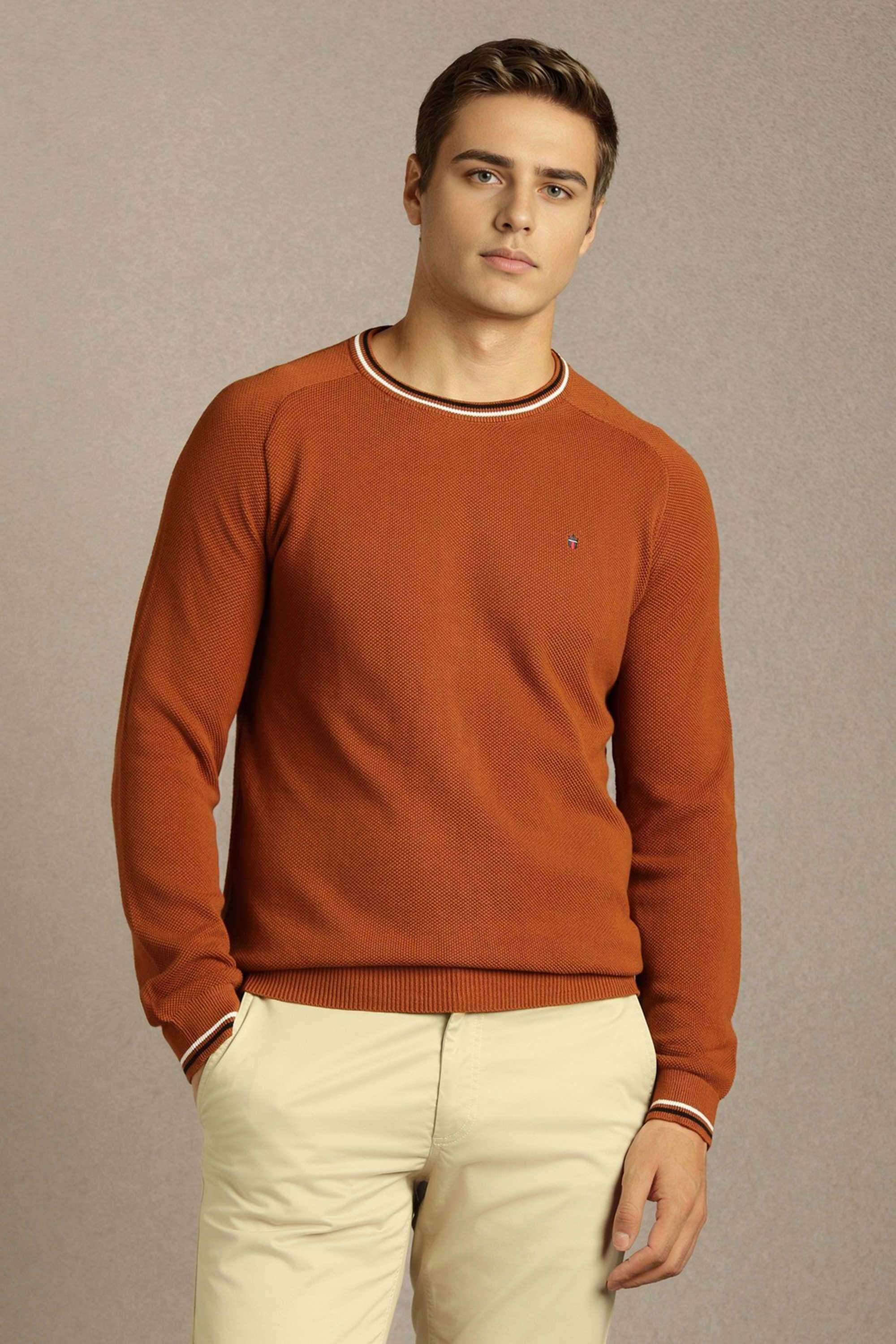 Solid-Cotton-Round-Neck-Men-s-Sweater