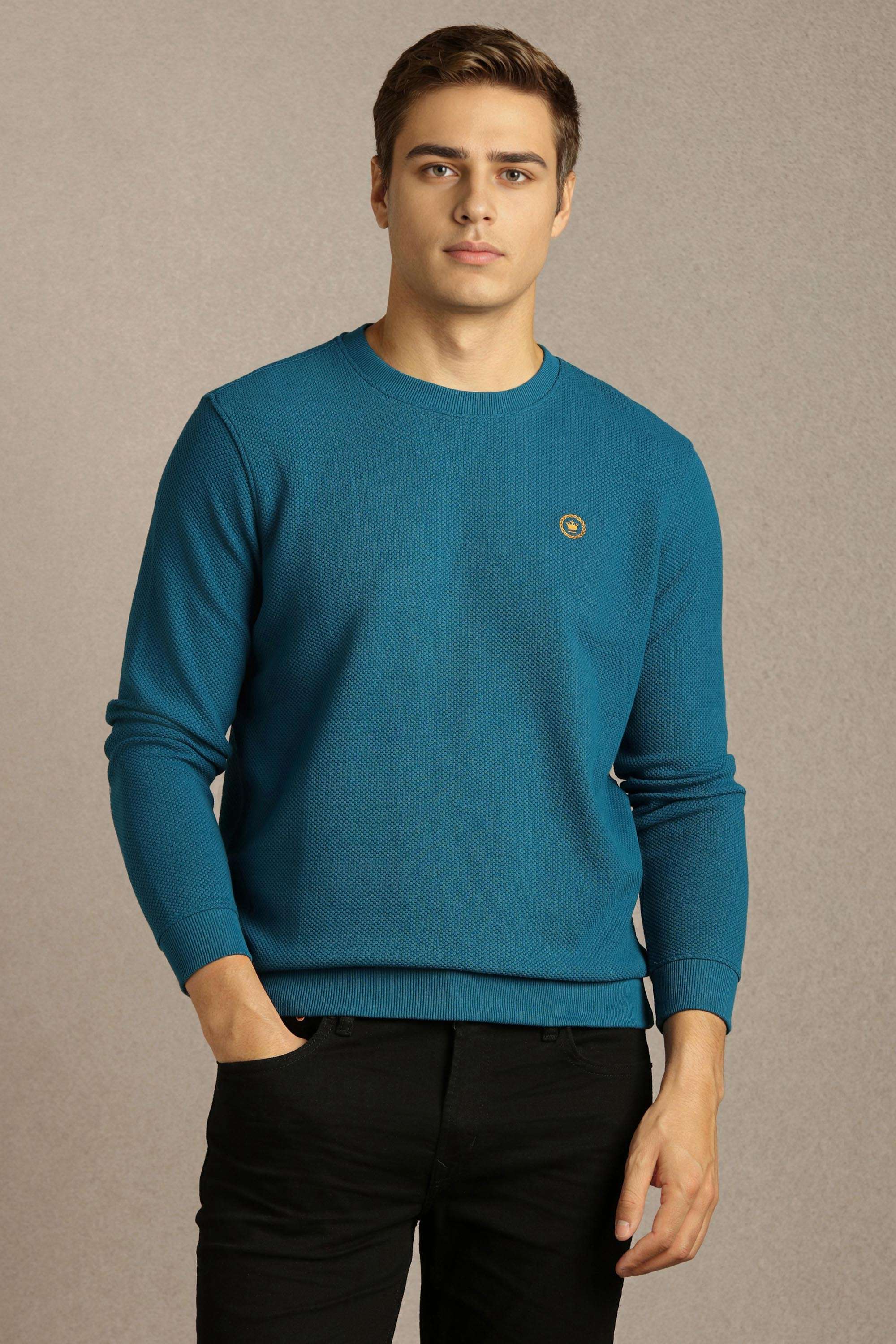 Solid-Cotton-Regular-Fit-Men-Sweatshirt