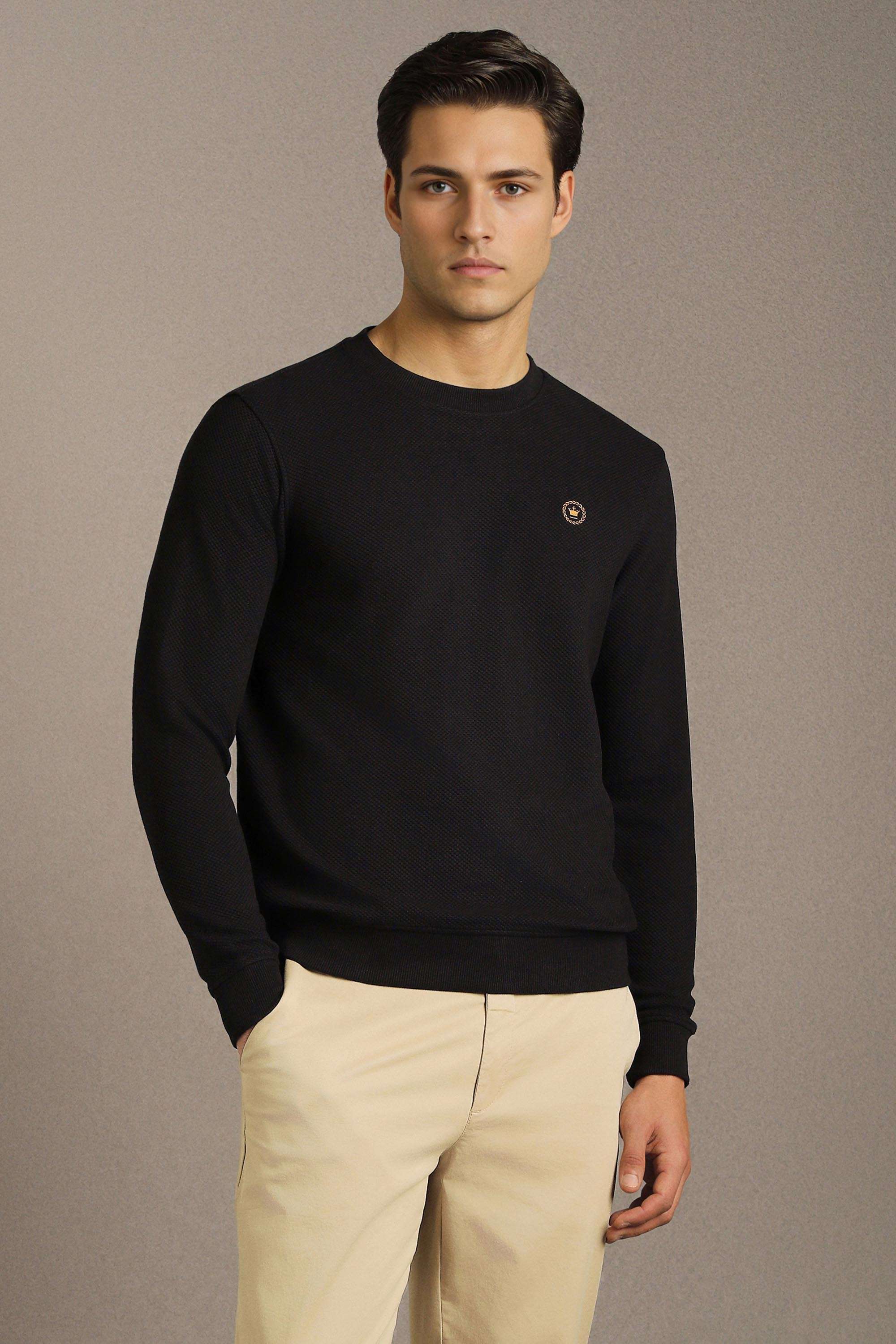 Textured-Cotton-Regular-Fit-Men-Sweatshirt