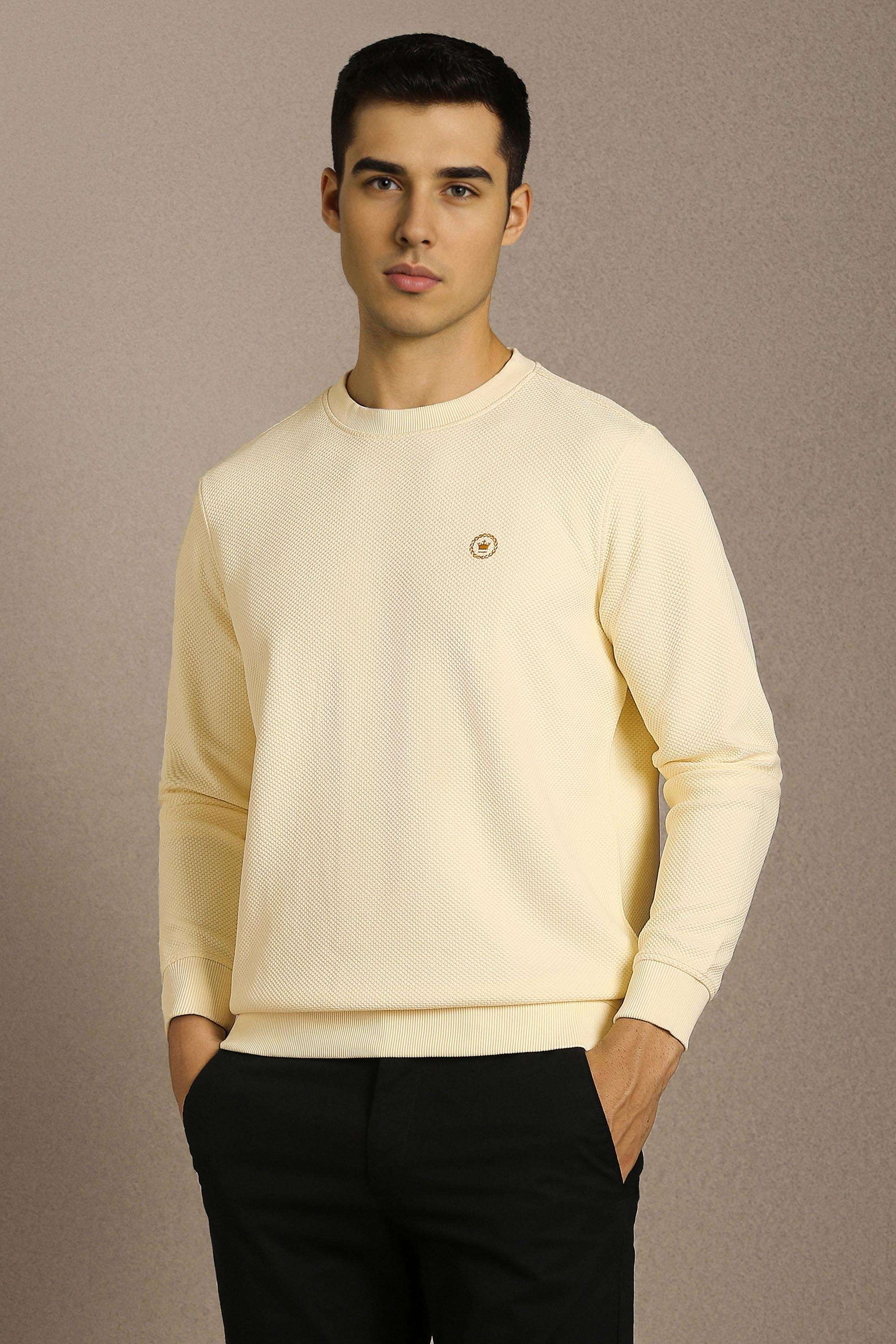 Solid-Poly-Cotton-Regular-Fit-Men-Sweatshirt