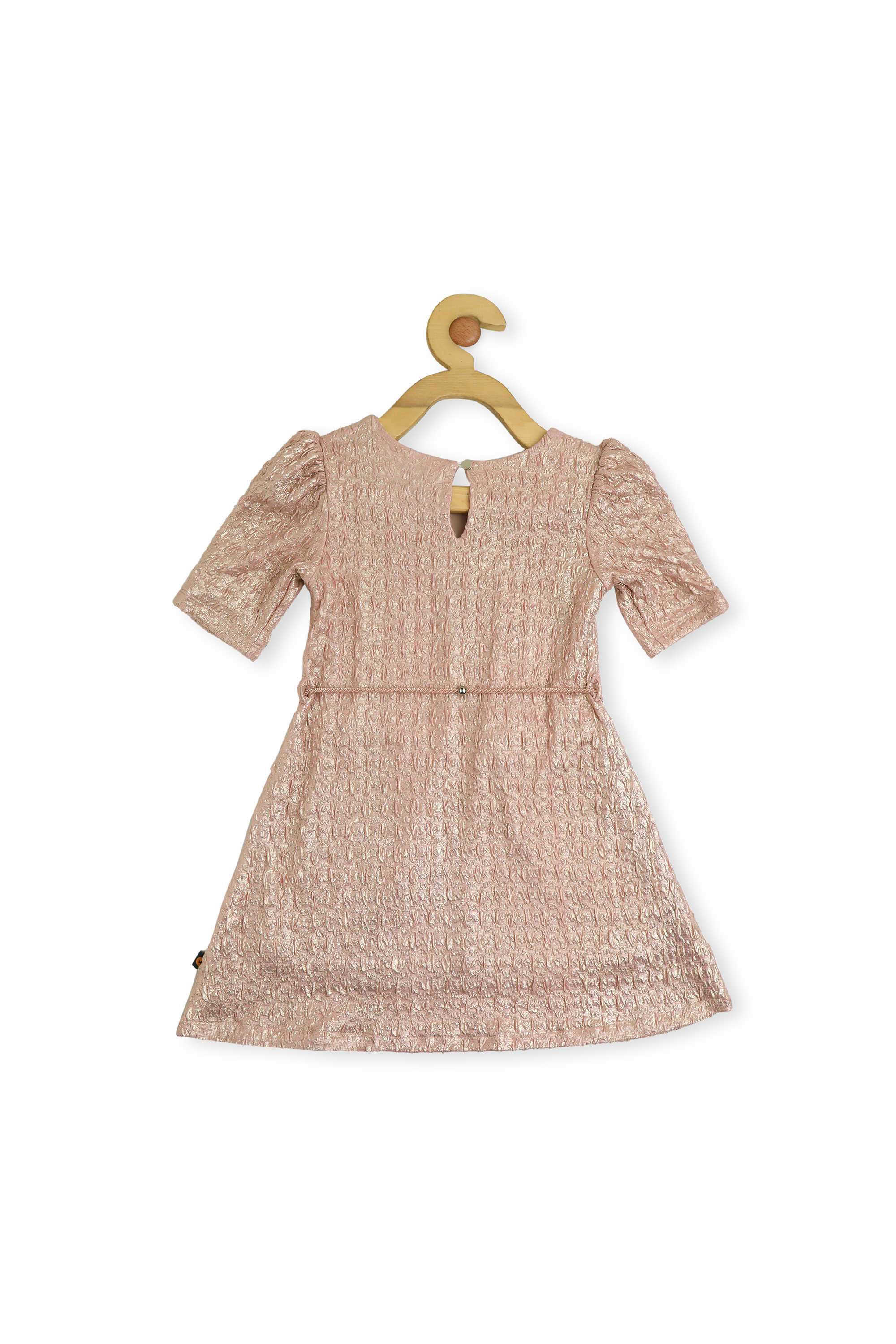 Solid-Polyester-Round-Neck-Girl-s-Dress