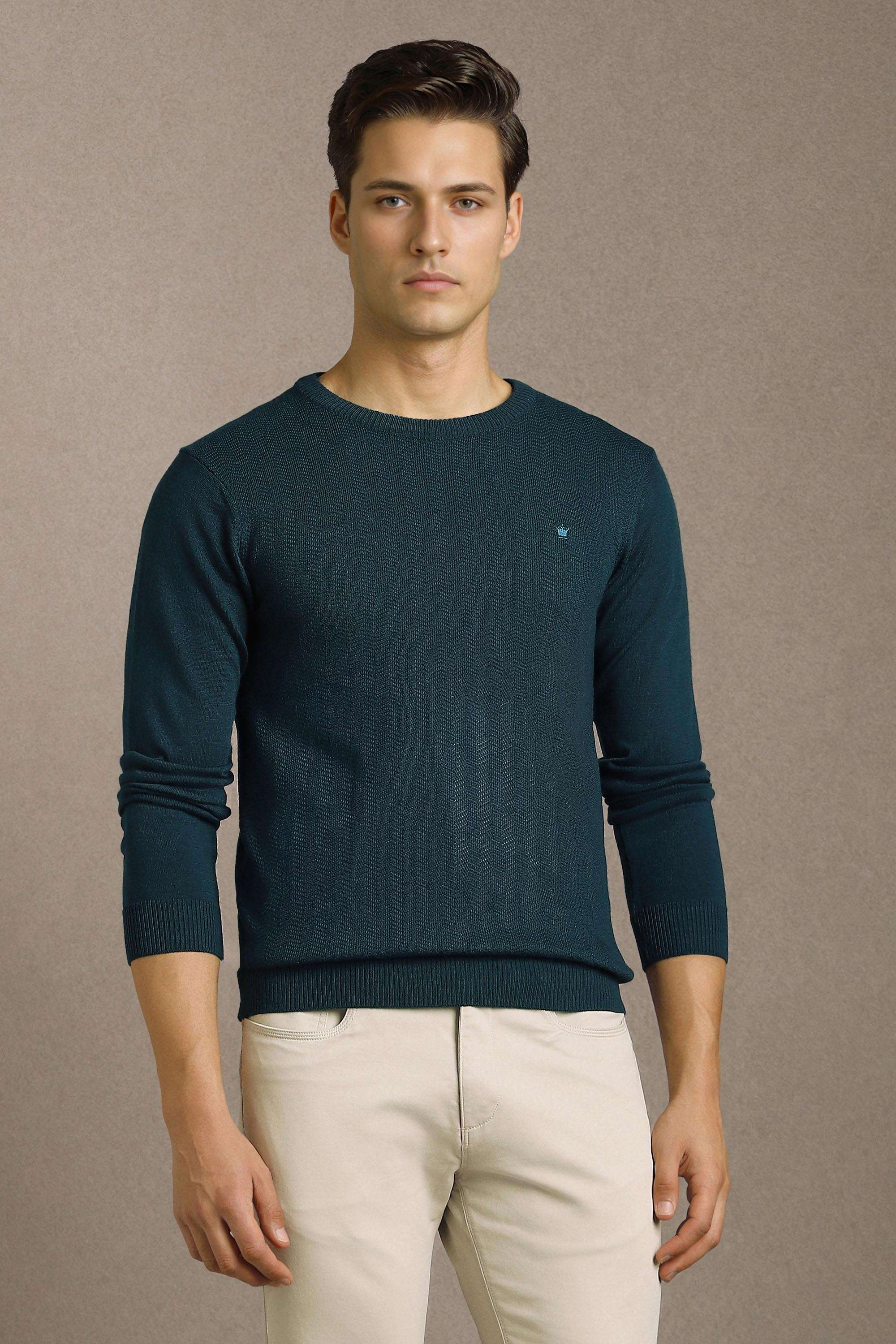 Solid-Blended-Fabric-Regular-Fit-Men-Sweater