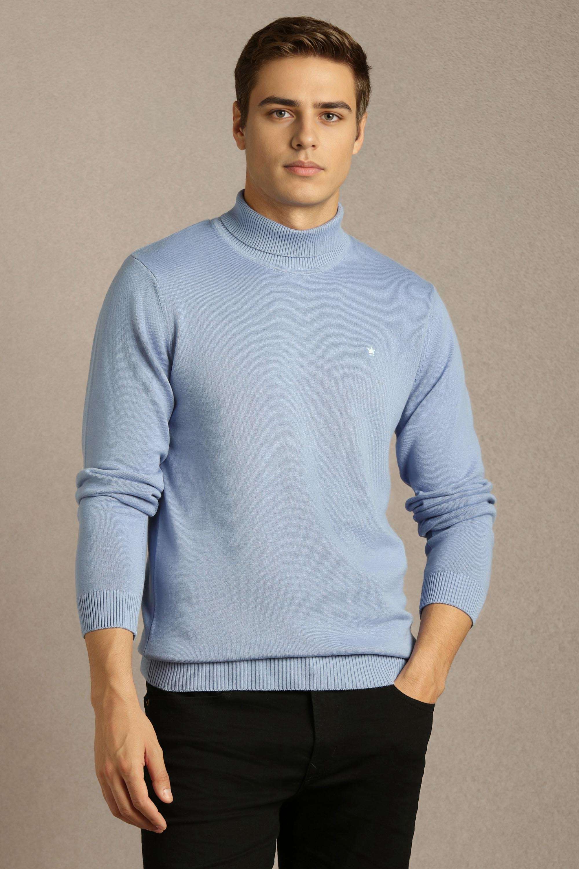Textured-Cotton-Regular-Fit-Men-Sweater