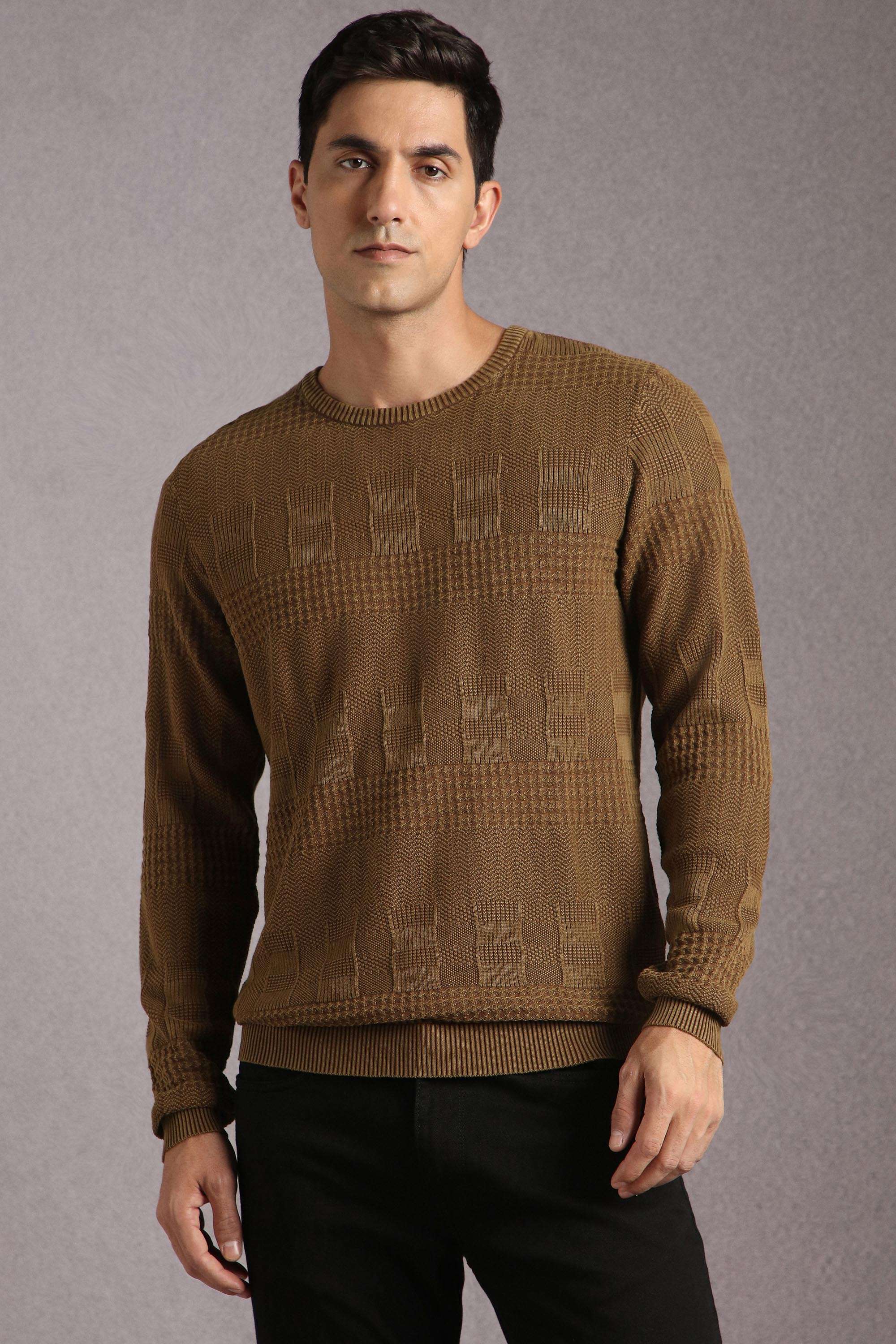 Solid-Cotton-Regular-Fit-Men-Sweater