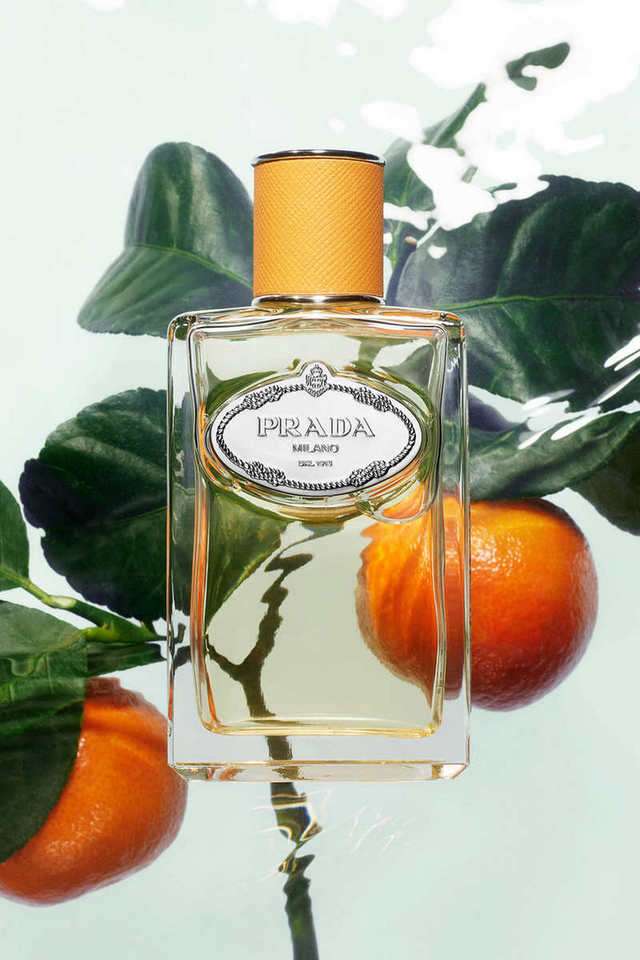 Buy PRADA nocolor Infusion Mandarine Eau De Parfum Unisex - 100 ml