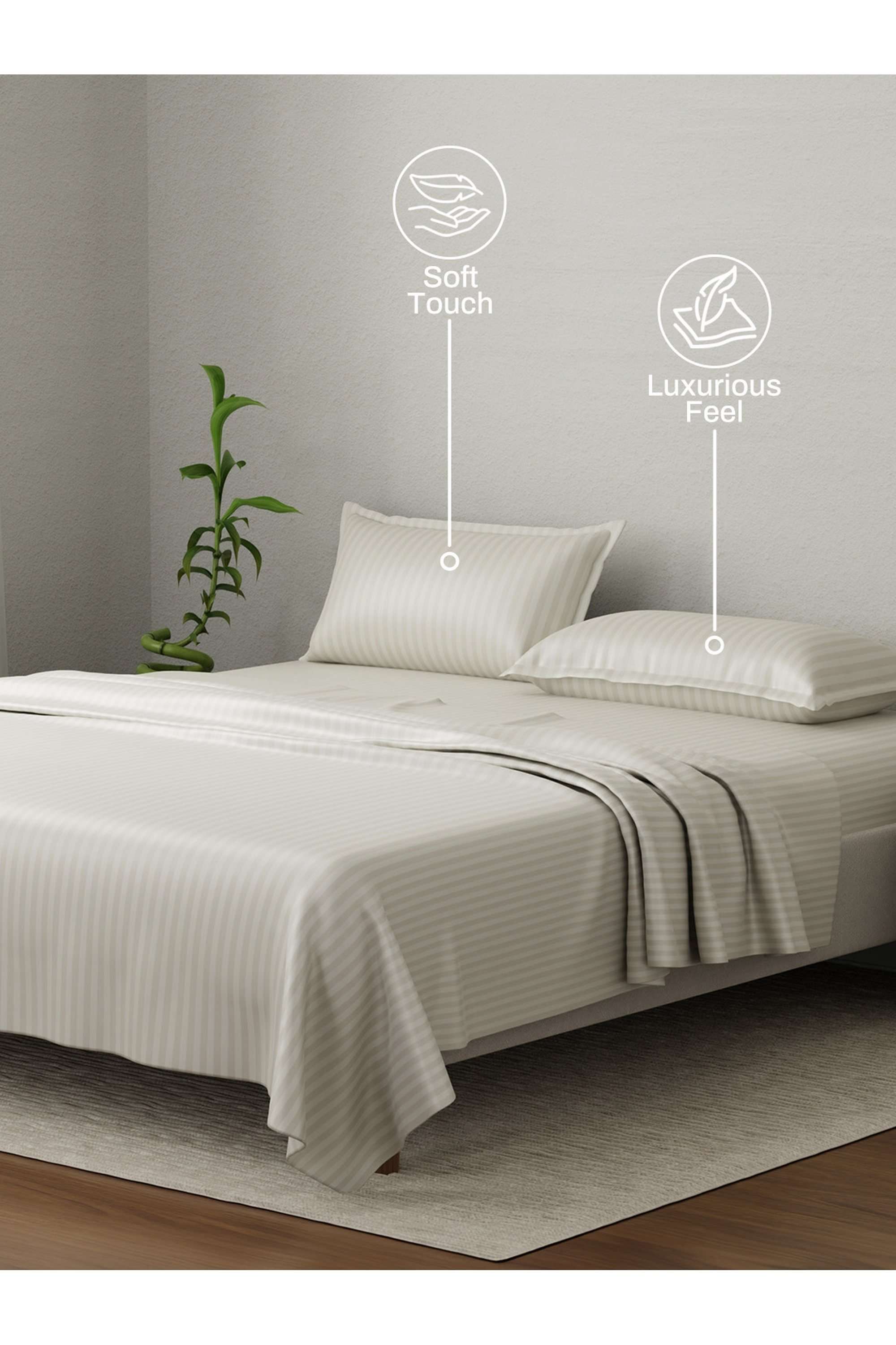 Elegant-100--Cotton-210-TC-Beige-Stripes-King-Bedsheet-Set