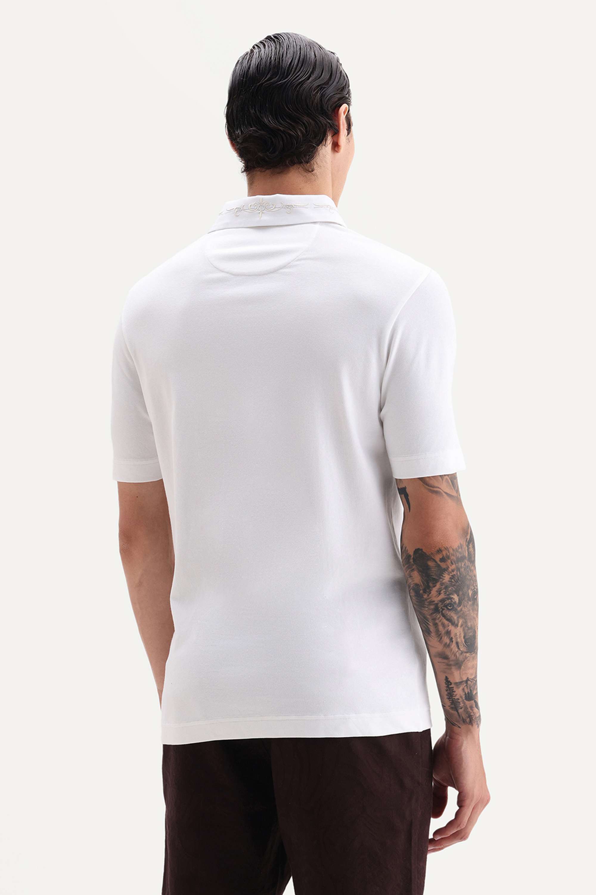Solid-Cotton-Regular-Fit-Men-Polo-T-Shirt
