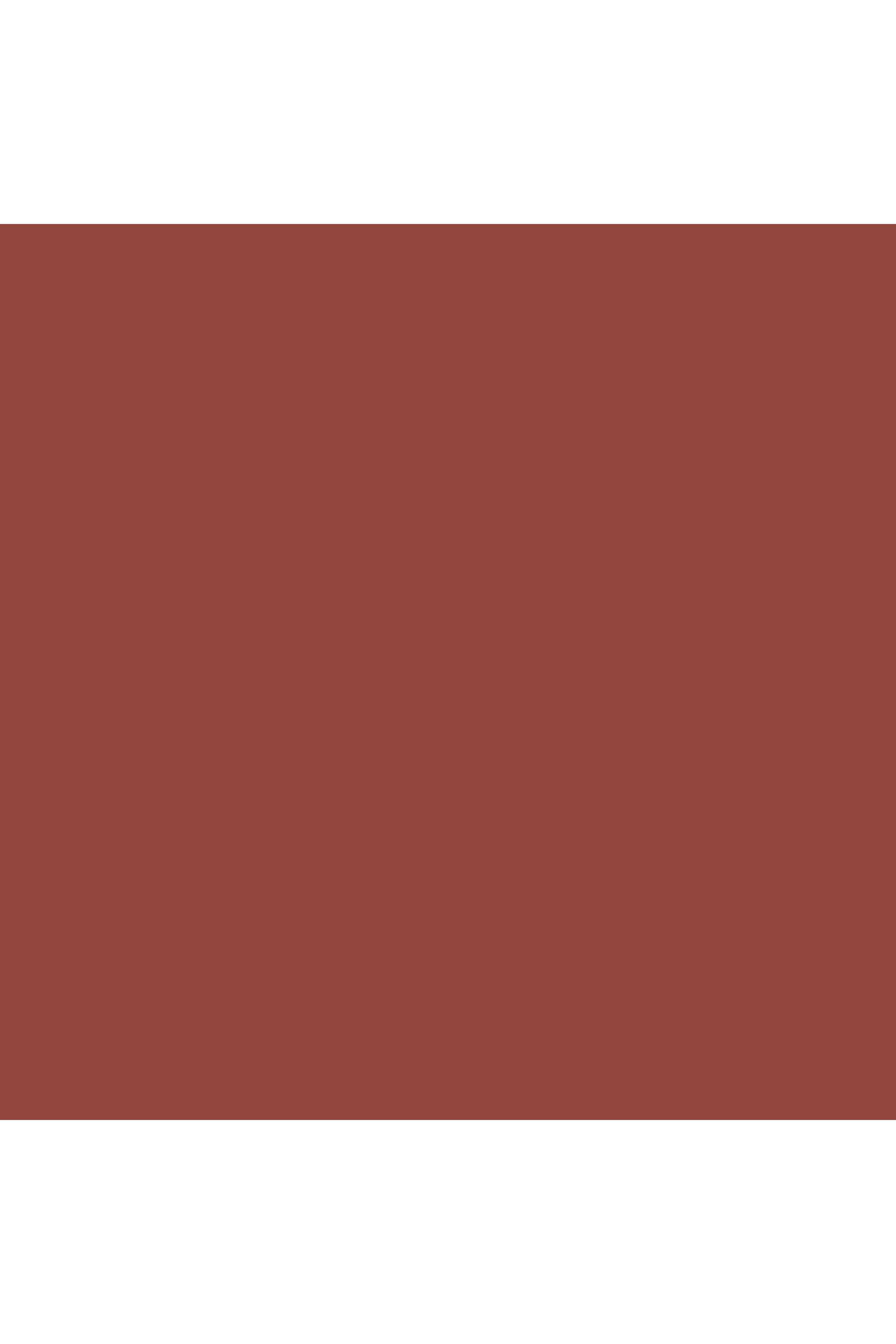 Luxe-Lip-Color---Burnt-Rose -3.5-gm