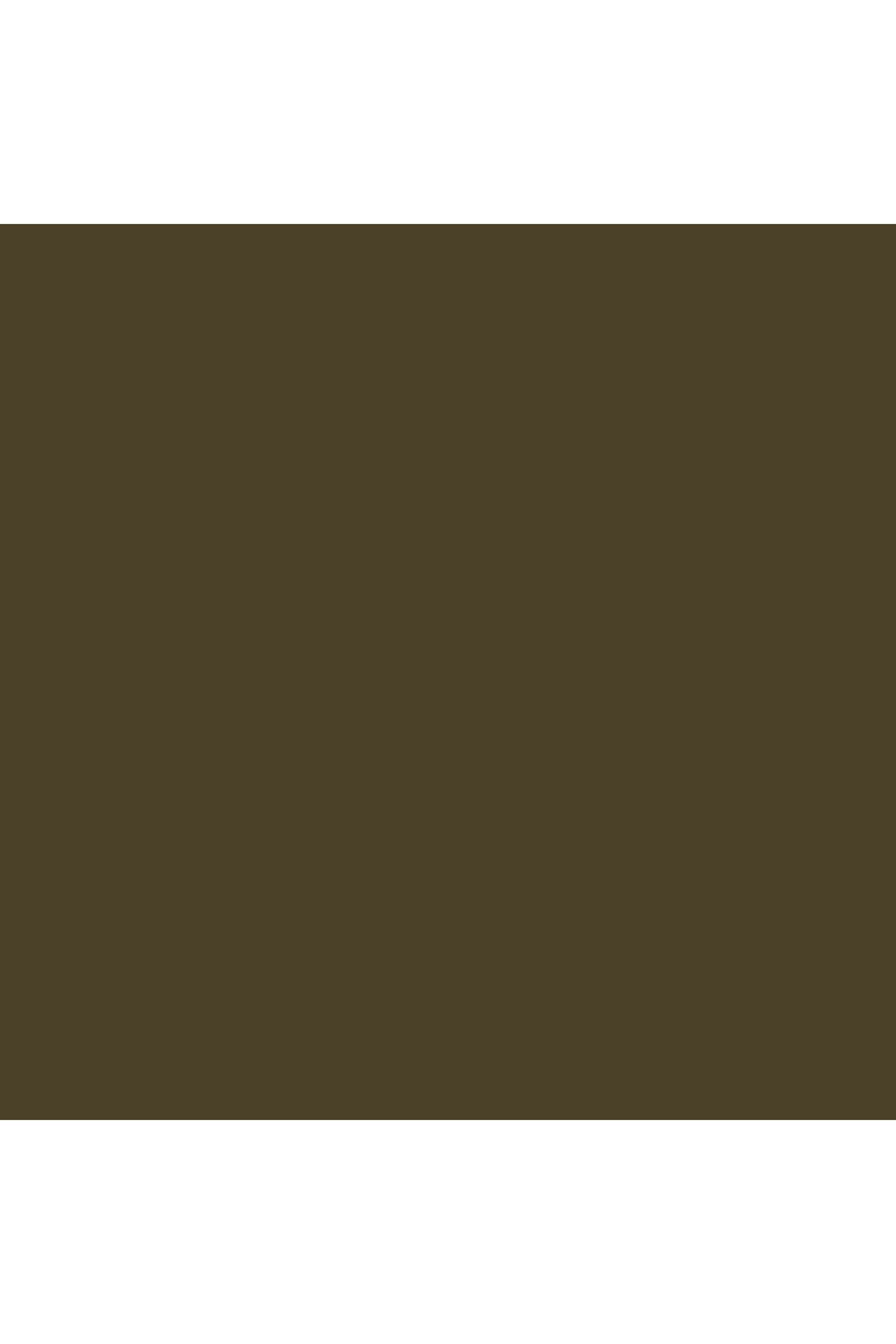 Quickliner-For-Brows-Eyebrow-Pencil---06-Ebony -0.002-fl-oz
