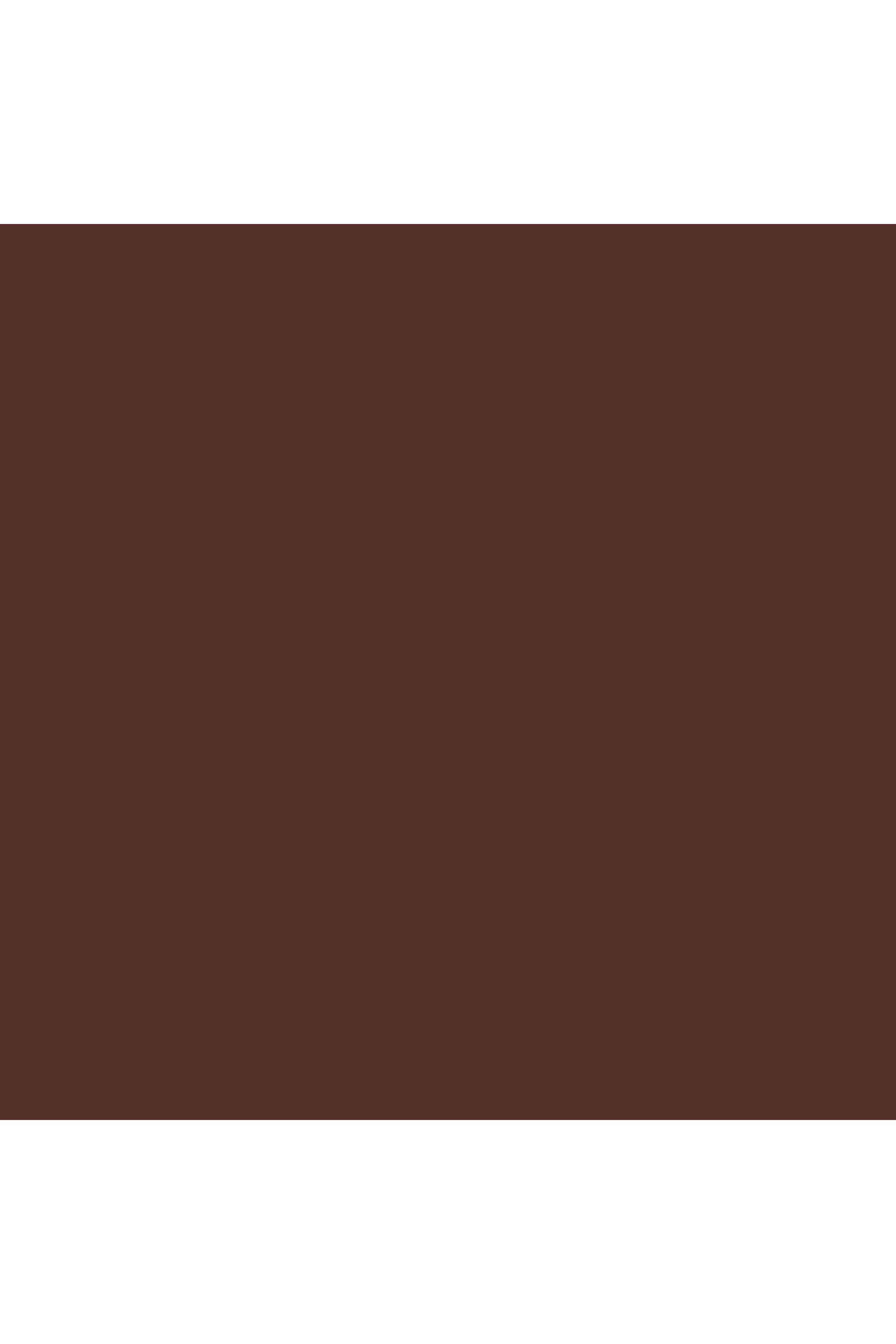 Smoke-and-Brighten-Kajal-Eyeliner-Duo---Dark-Chocolate-Rich-Bronze