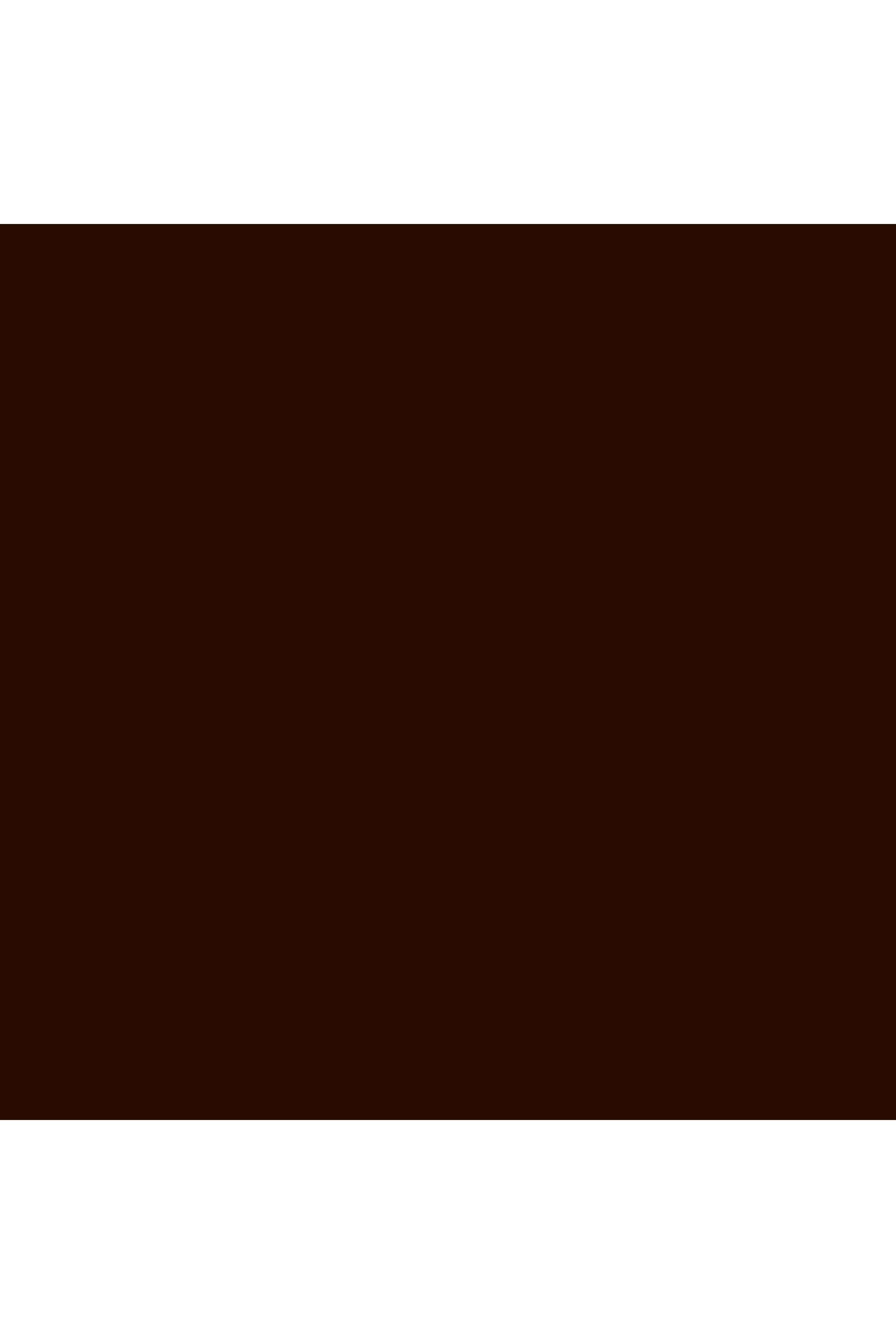 BrowPerfect-3D-All-in-One-Styler-Multi-Tasker---Brunette -0.07-gm