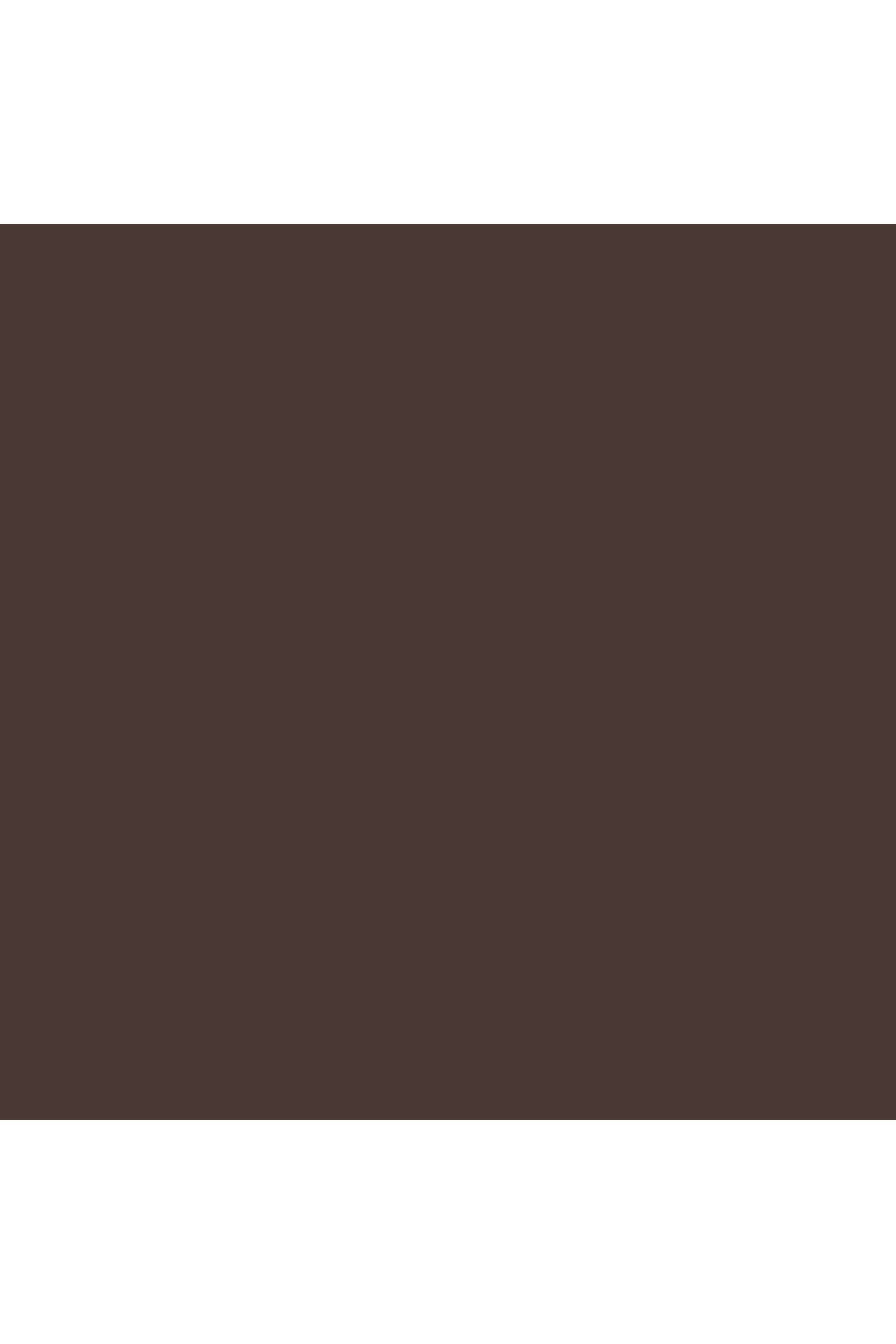 BrowPerfect-3D-All-in-One-Styler-Multi-Tasker---Blackend-Brown -0.07-gm