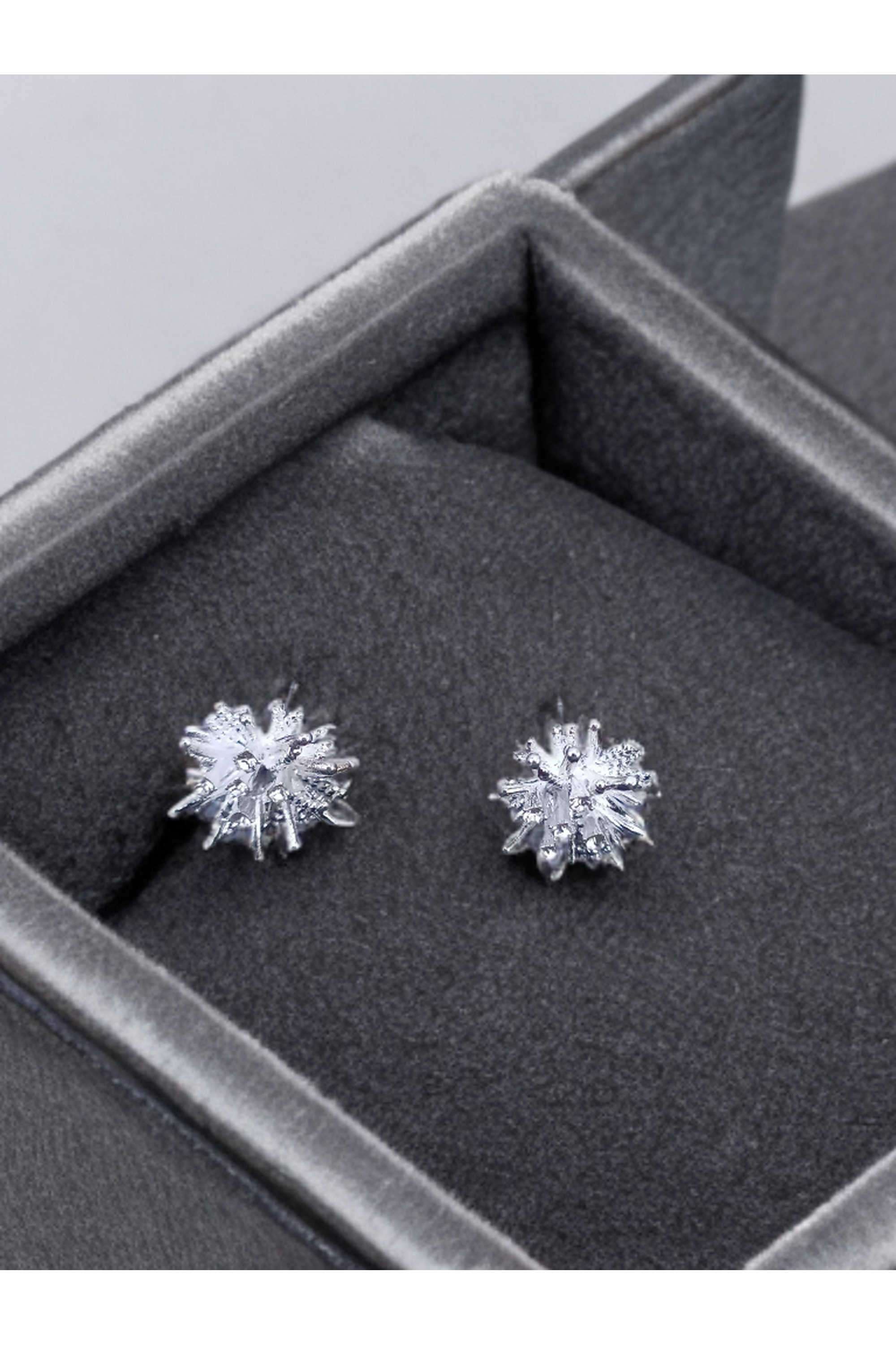 Metal-Casual-Wear-Women-Earrings