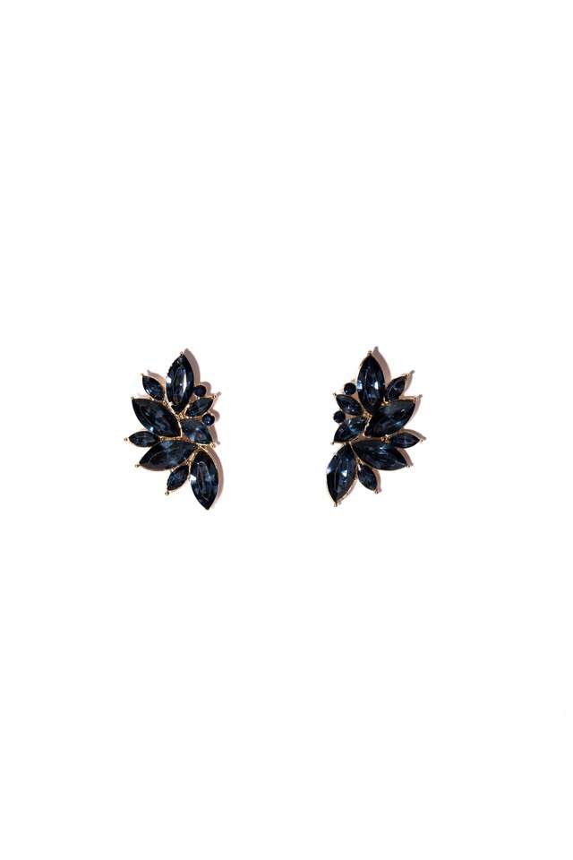 Women-s-Western-Alloy-Earrings