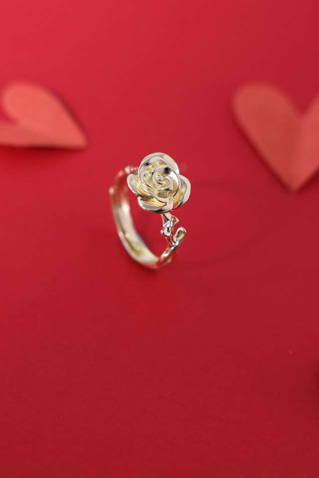 Trendy-Silver-Women-Western-Ring