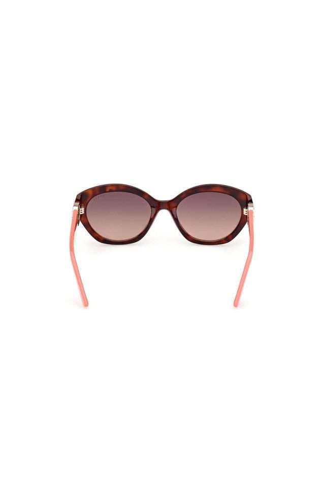 Women-s-Full-Rim-Non-Polarized-Oval-Sunglasses
