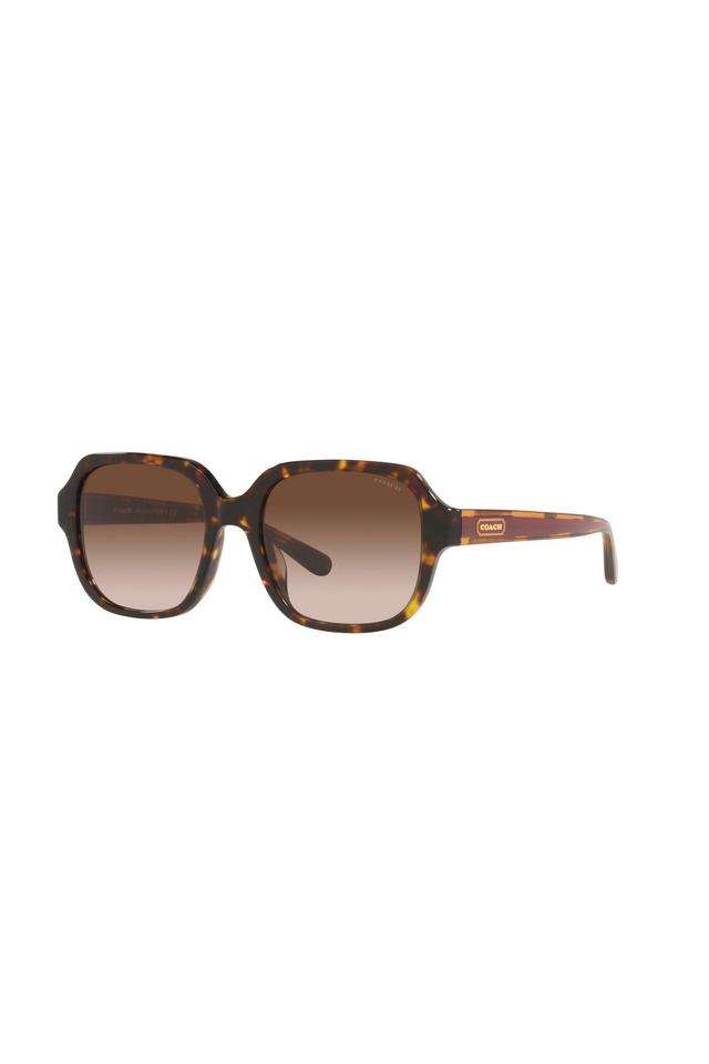 Creative-Class-Women-Full-Rim-Non-Polarized-Rectangular-Sunglasses---0HC8335U