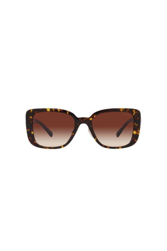 Creative-Class-Women-Full-Rim-Non-Polarized-Square-Sunglasses---0HC8352