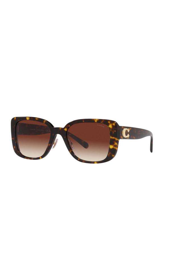 Creative-Class-Women-Full-Rim-Non-Polarized-Square-Sunglasses---0HC8352