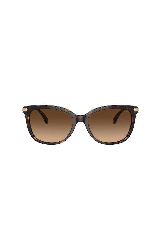 Modern-Heritage-Women-Full-Rim-Non-Polarized-Cat-Eye-Sunglasses---0HC8378U