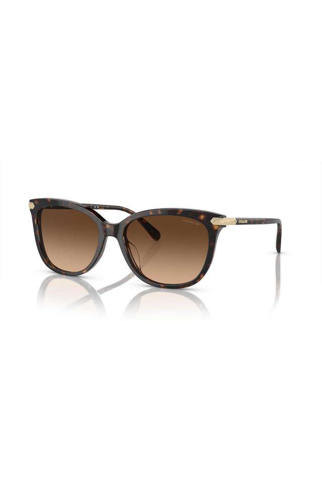 Modern-Heritage-Women-Full-Rim-Non-Polarized-Cat-Eye-Sunglasses---0HC8378U