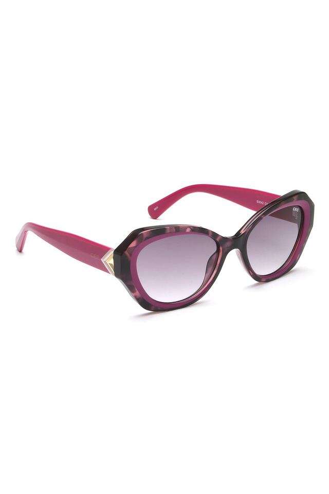Women-s-Full-Rim-Non-Polarized-Oval-Sunglasses