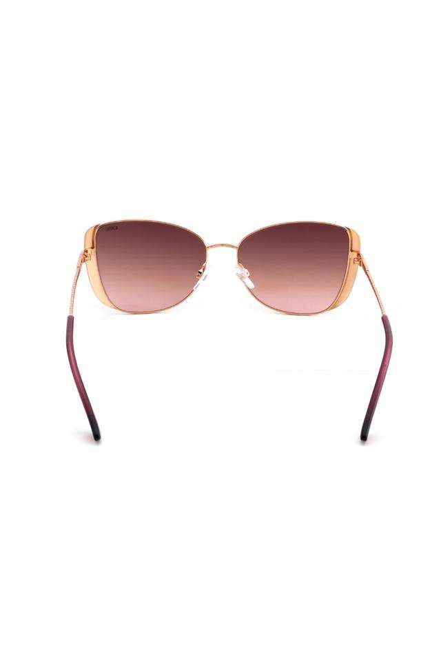 Women-Full-Rim-UV-Protected-Butterfly-Sunglasses
