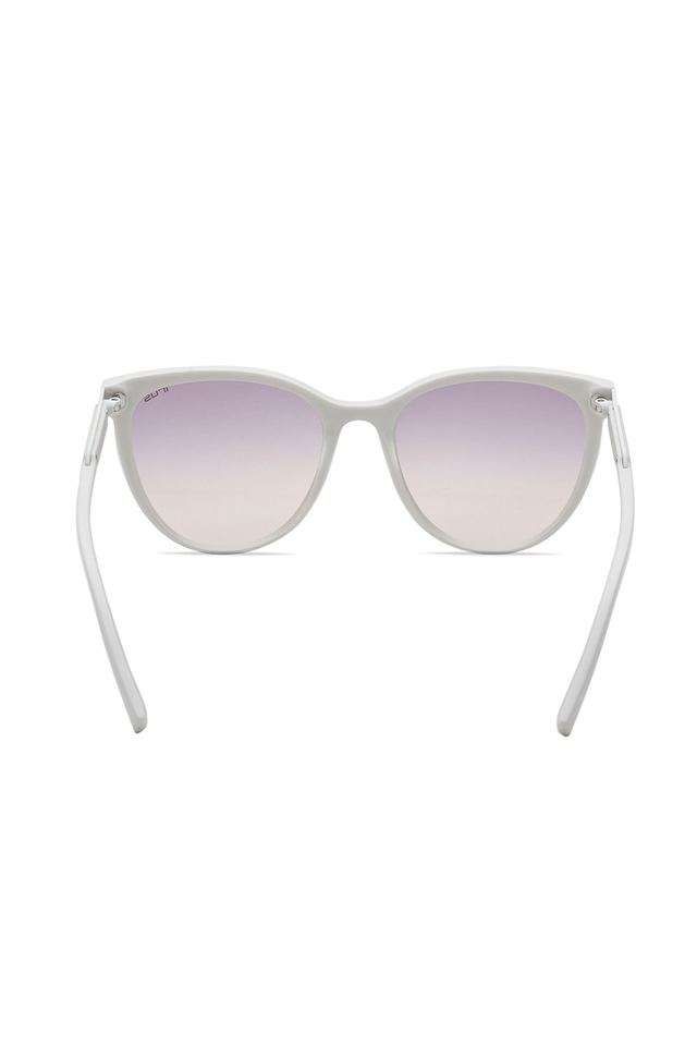 Women-s-Full-Rim-Non-Polarized-Oval-Sunglasses