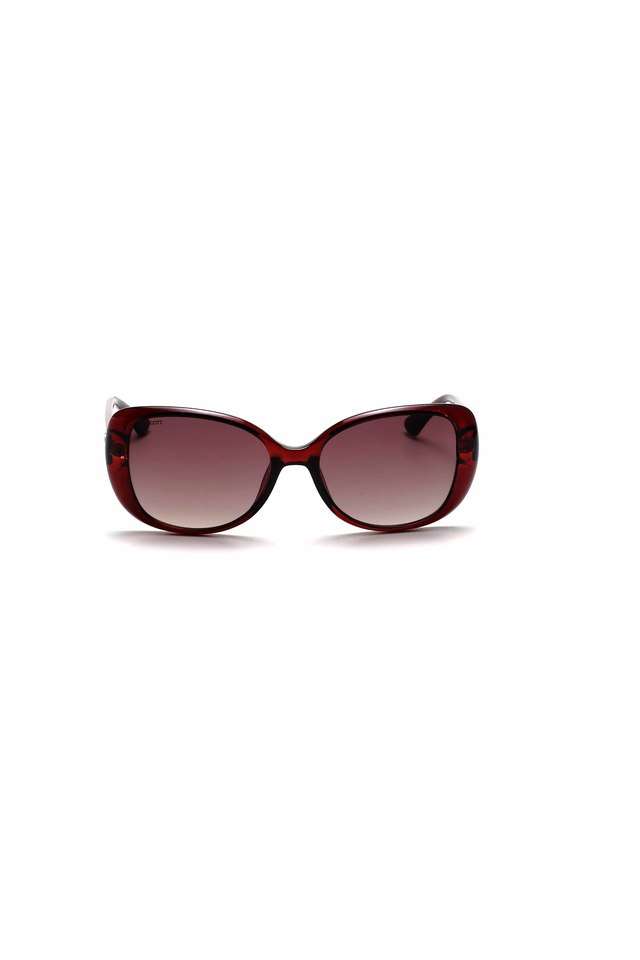 Women-s-Full-Rim-504-C2-Sasha-54-Cat-Eye-Sunglasses-With-Case