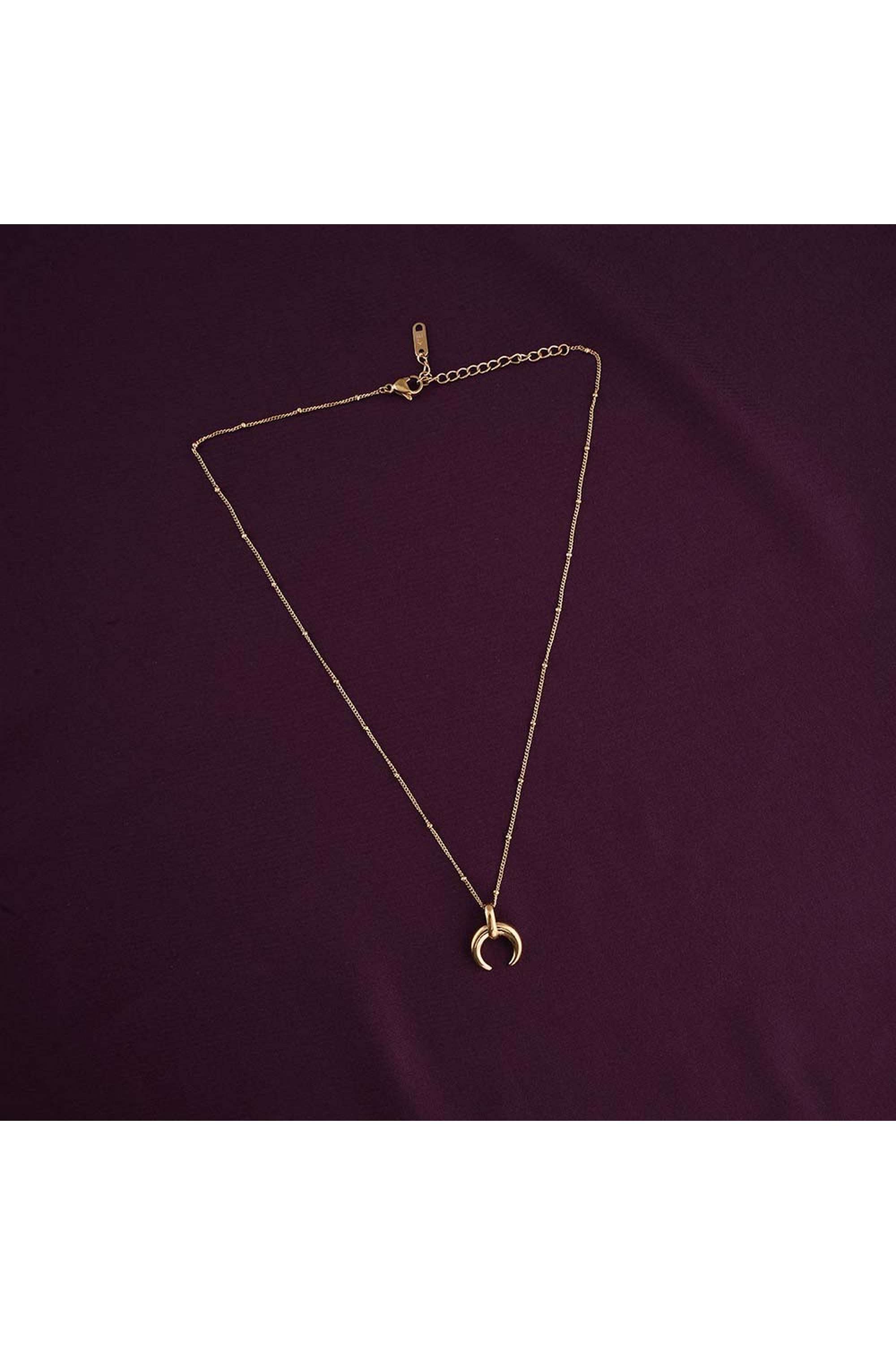 Tiny-Horn-Necklace-for-Womens---Waterproof-&-Anti-Tarnish