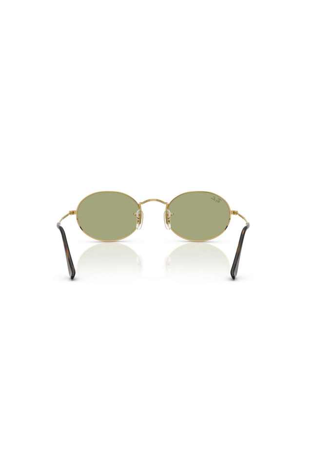 Unisex-Full-Rim-Non-Polarized-Oval-Sunglasses---0RB3547