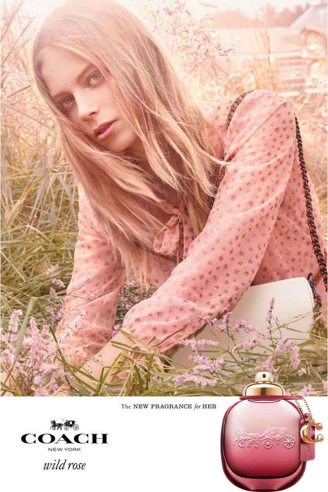 Wild Rose Best Coach Women's Perfume Wild Rose EDP 90ml By