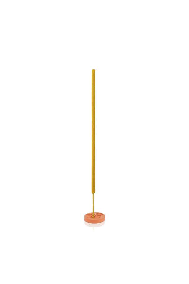 Amogha-Garden-Incense-Sticks---Fragrance-Citronella