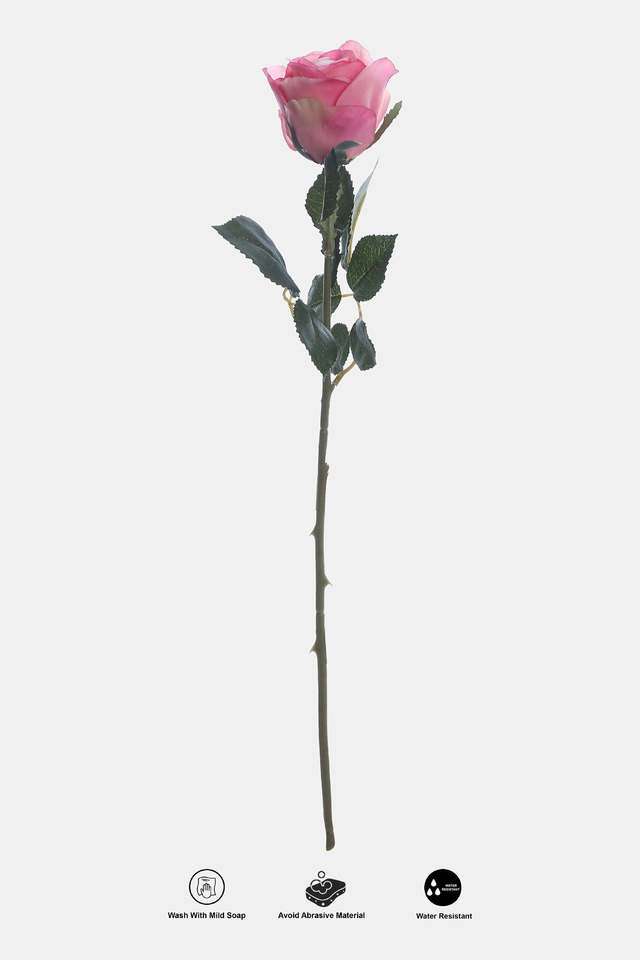 Single-Rose-Tall-Pink