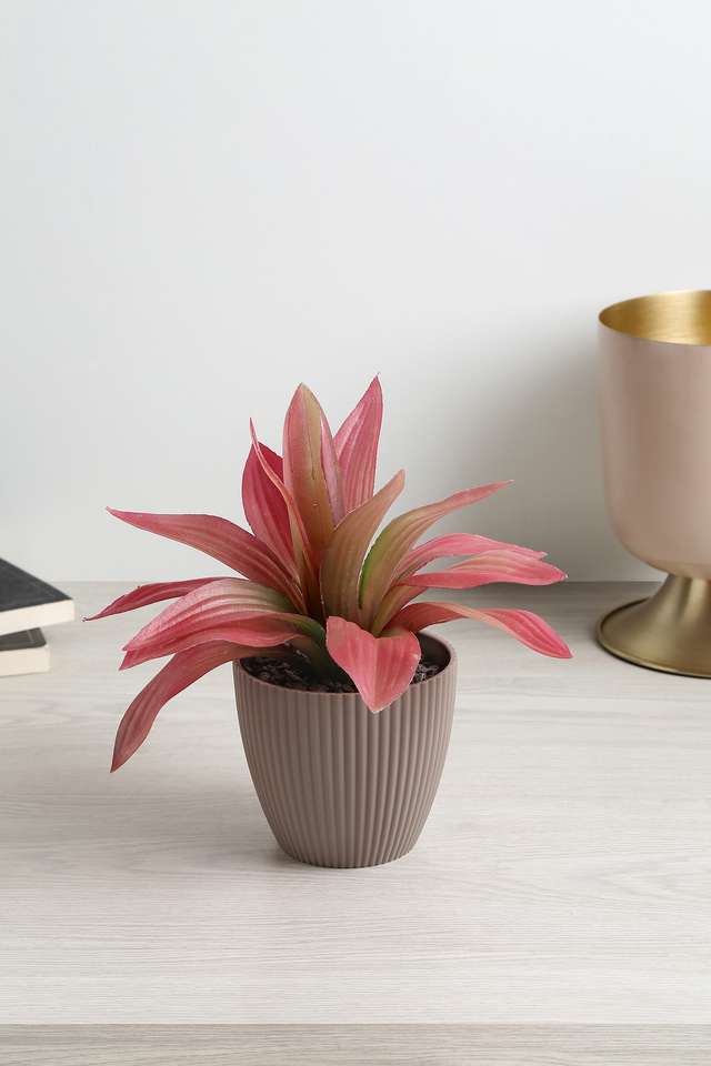 Mini-Ribbed-Plastic-Suclnt-Calico